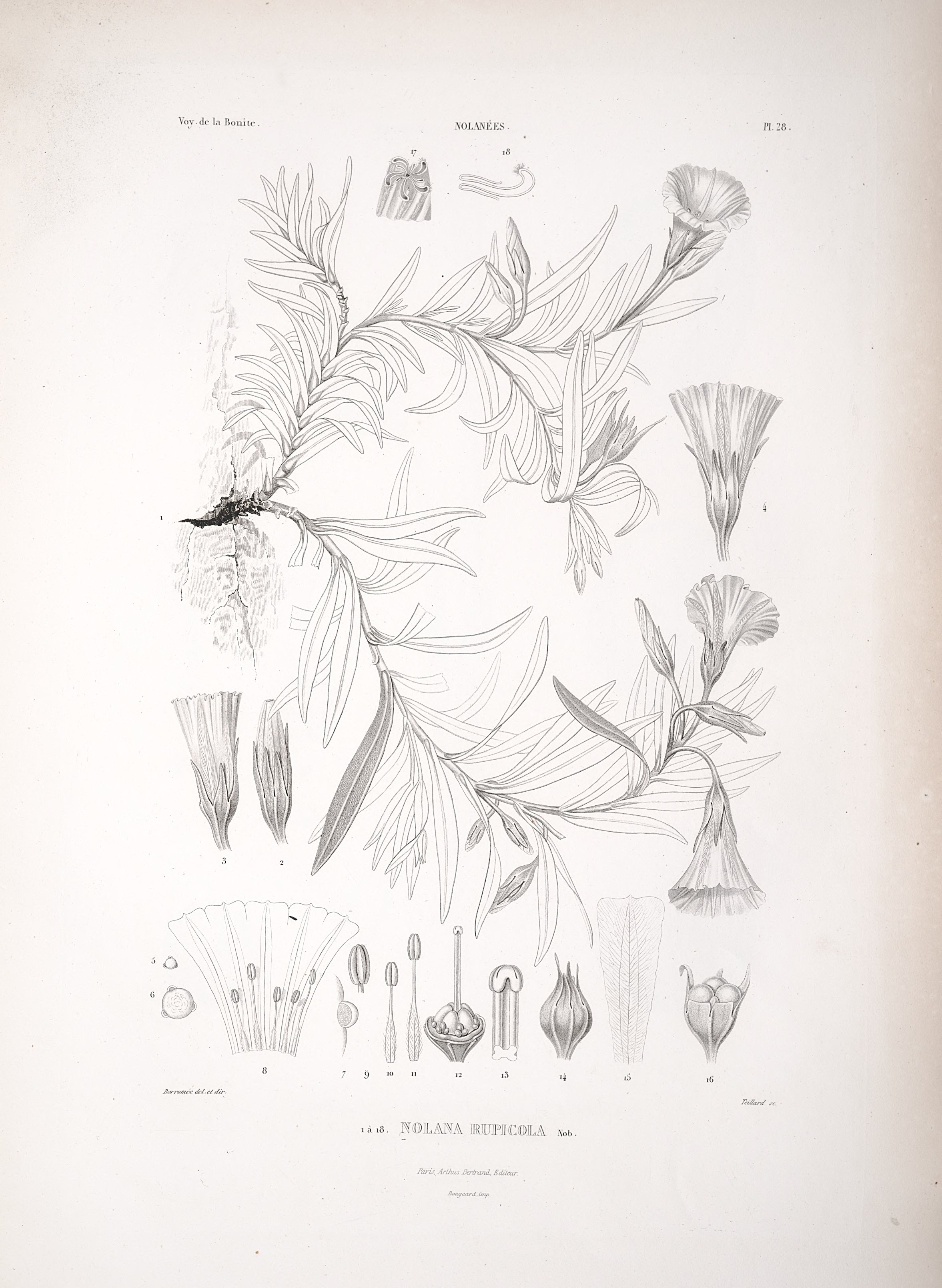 no full size  illustration available (3a)