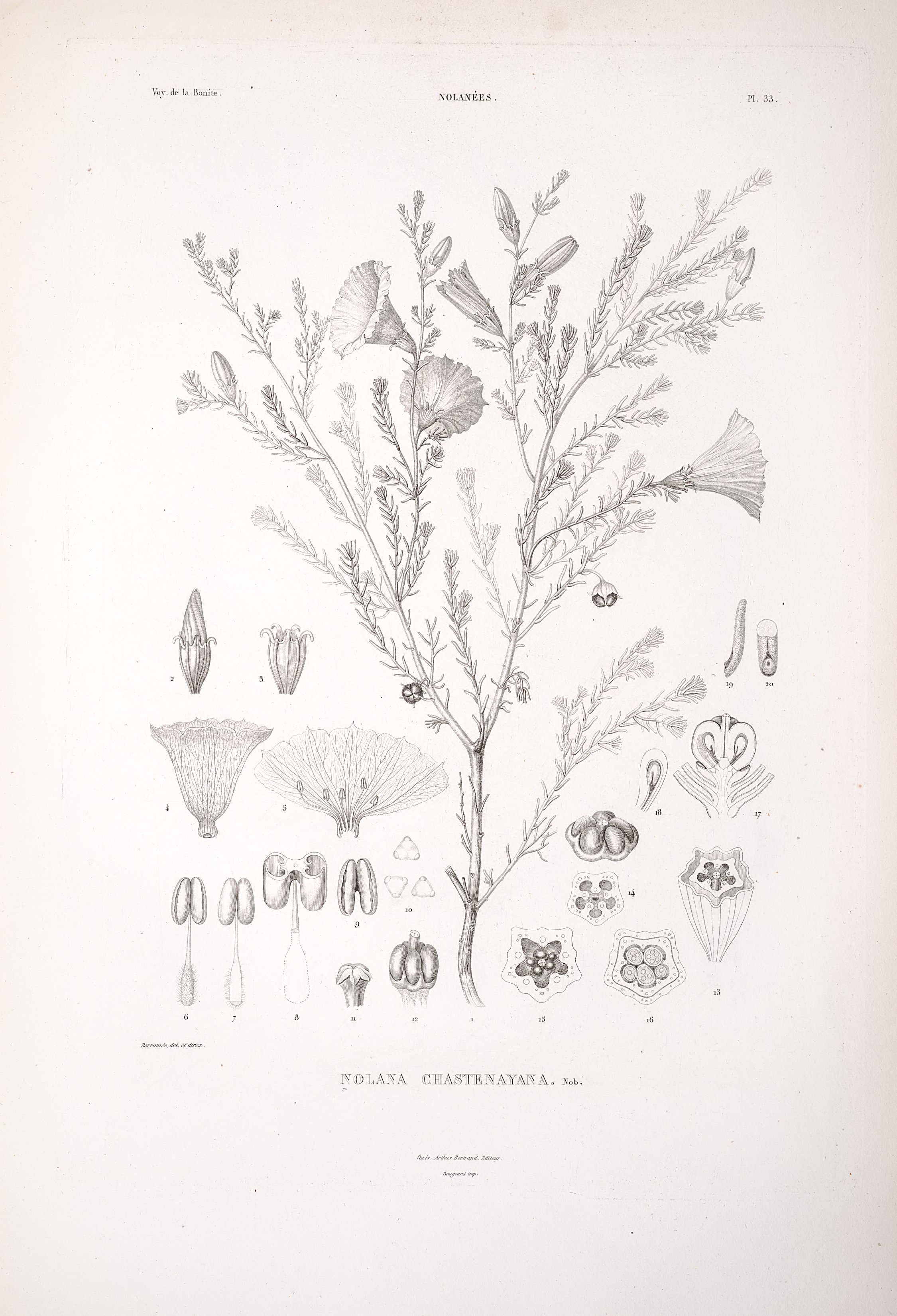 no full size  illustration available (3a)