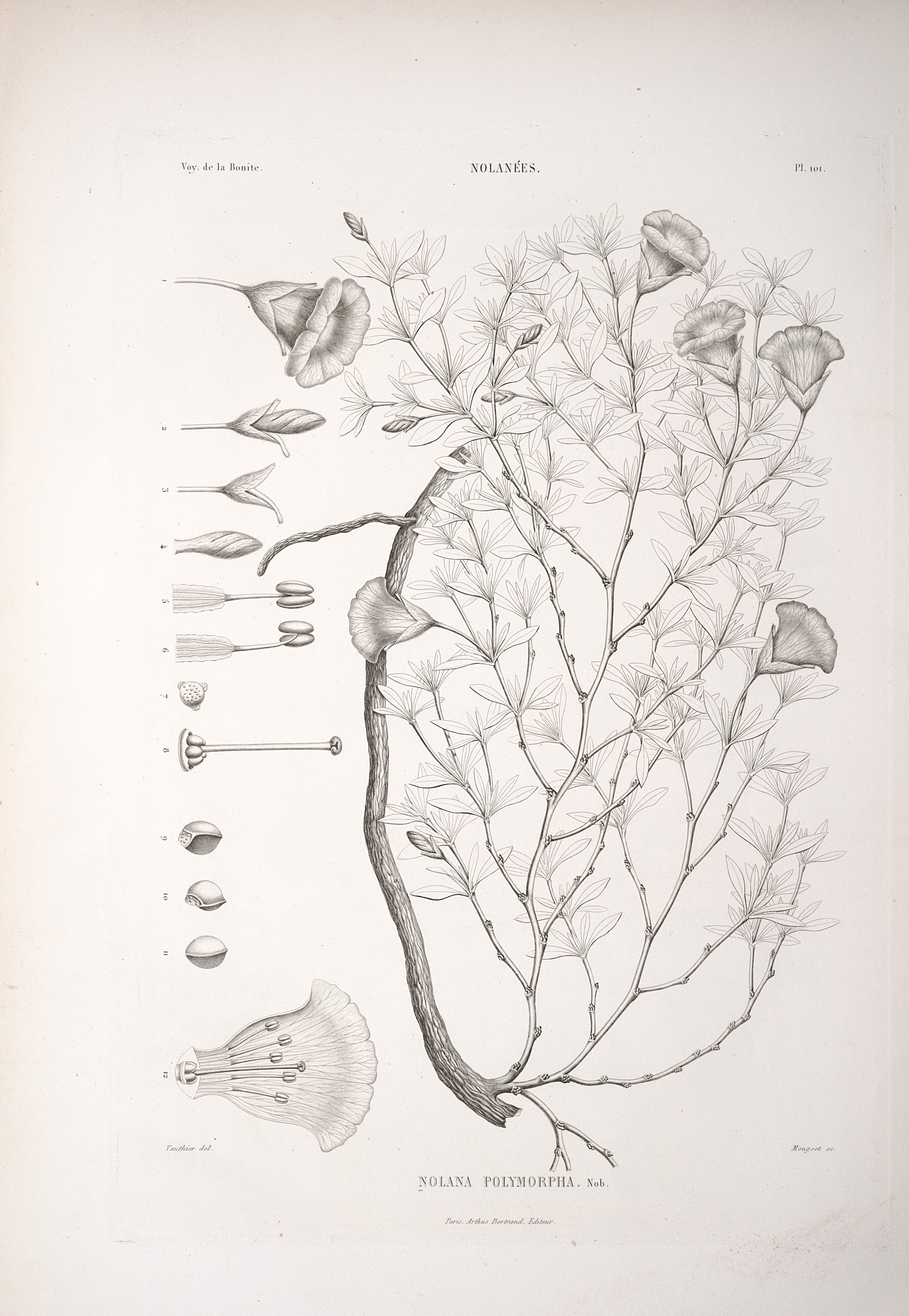 no full size  illustration available (3a)