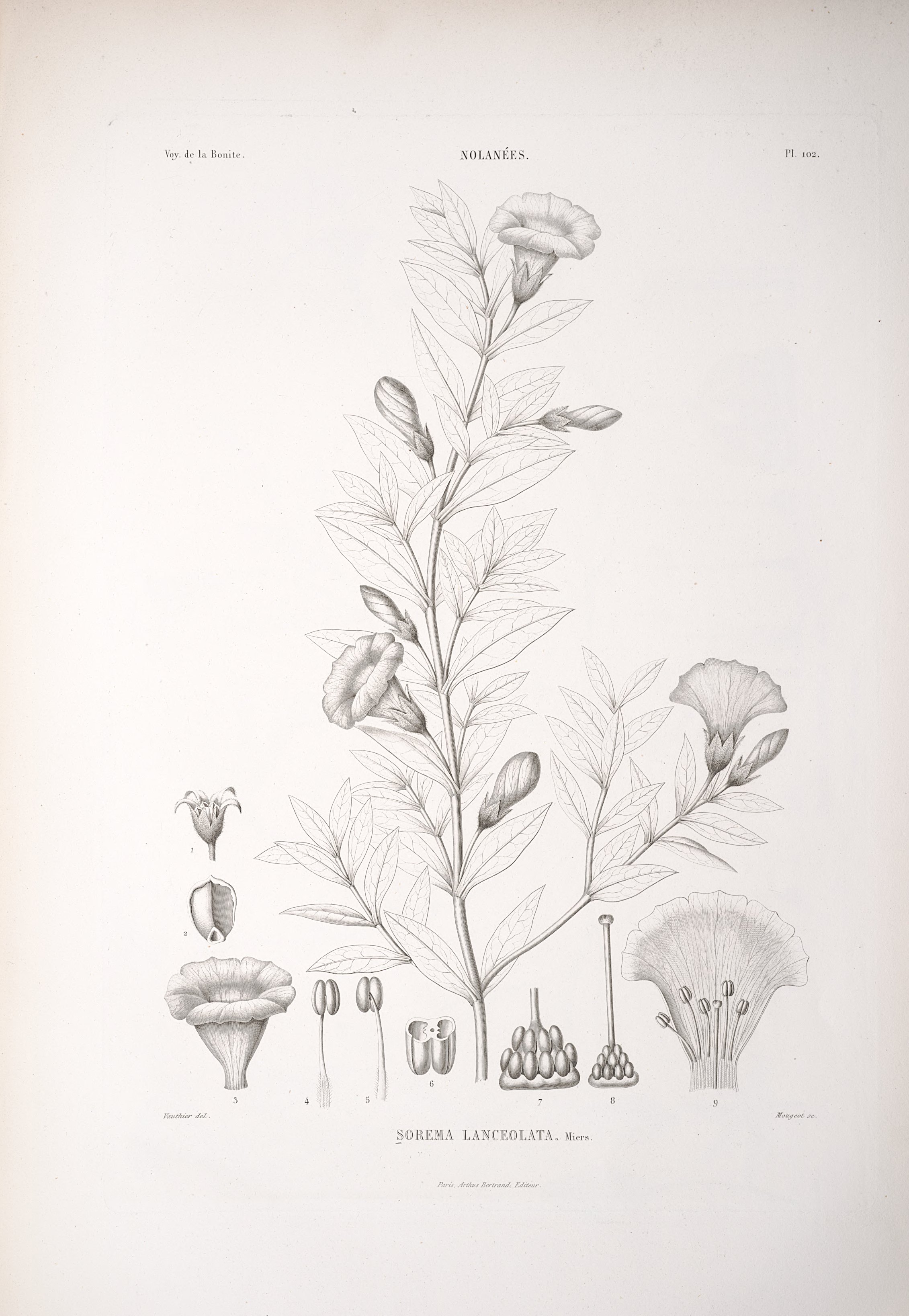 no full size  illustration available (3a)