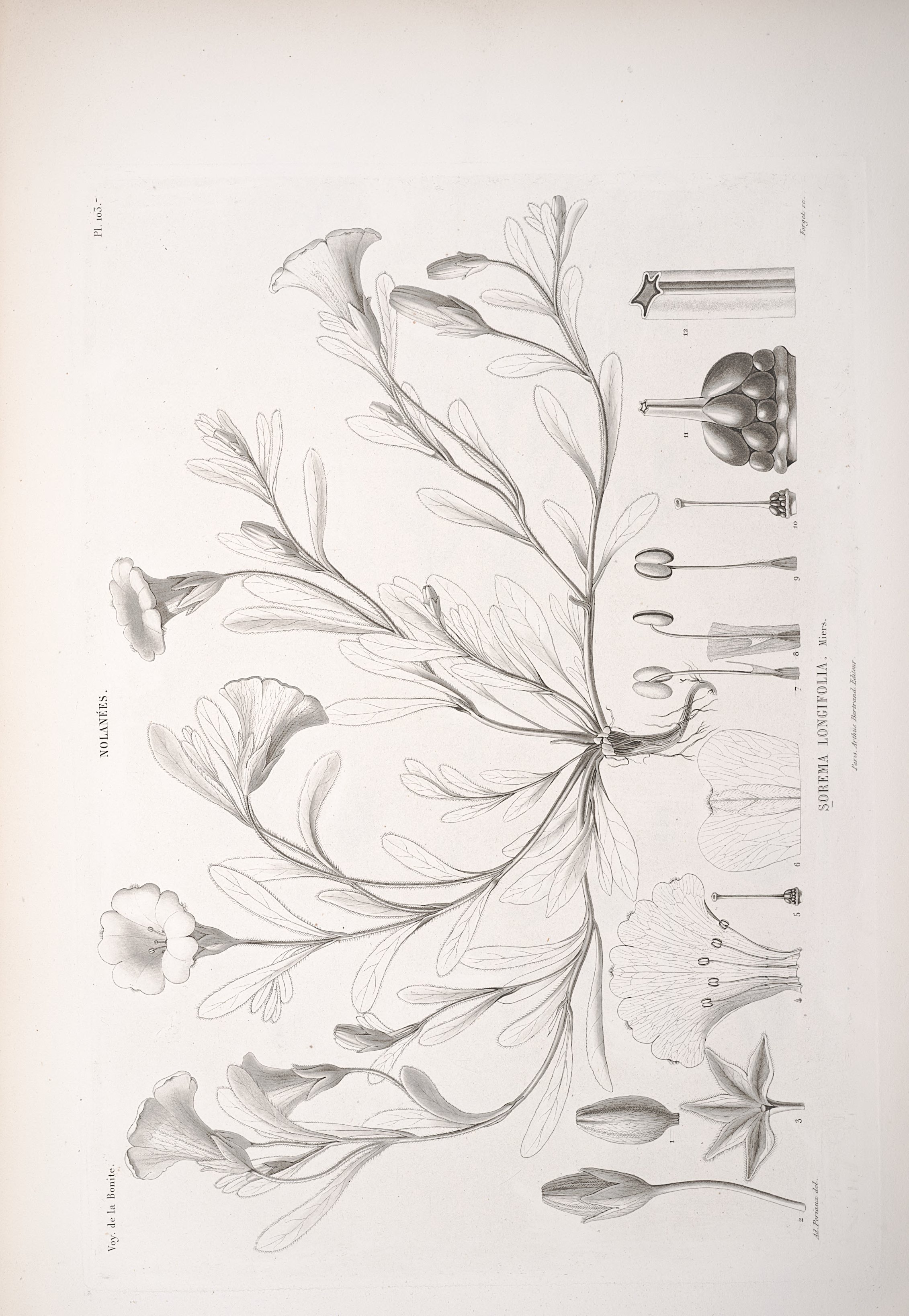 no full size  illustration available (3a)