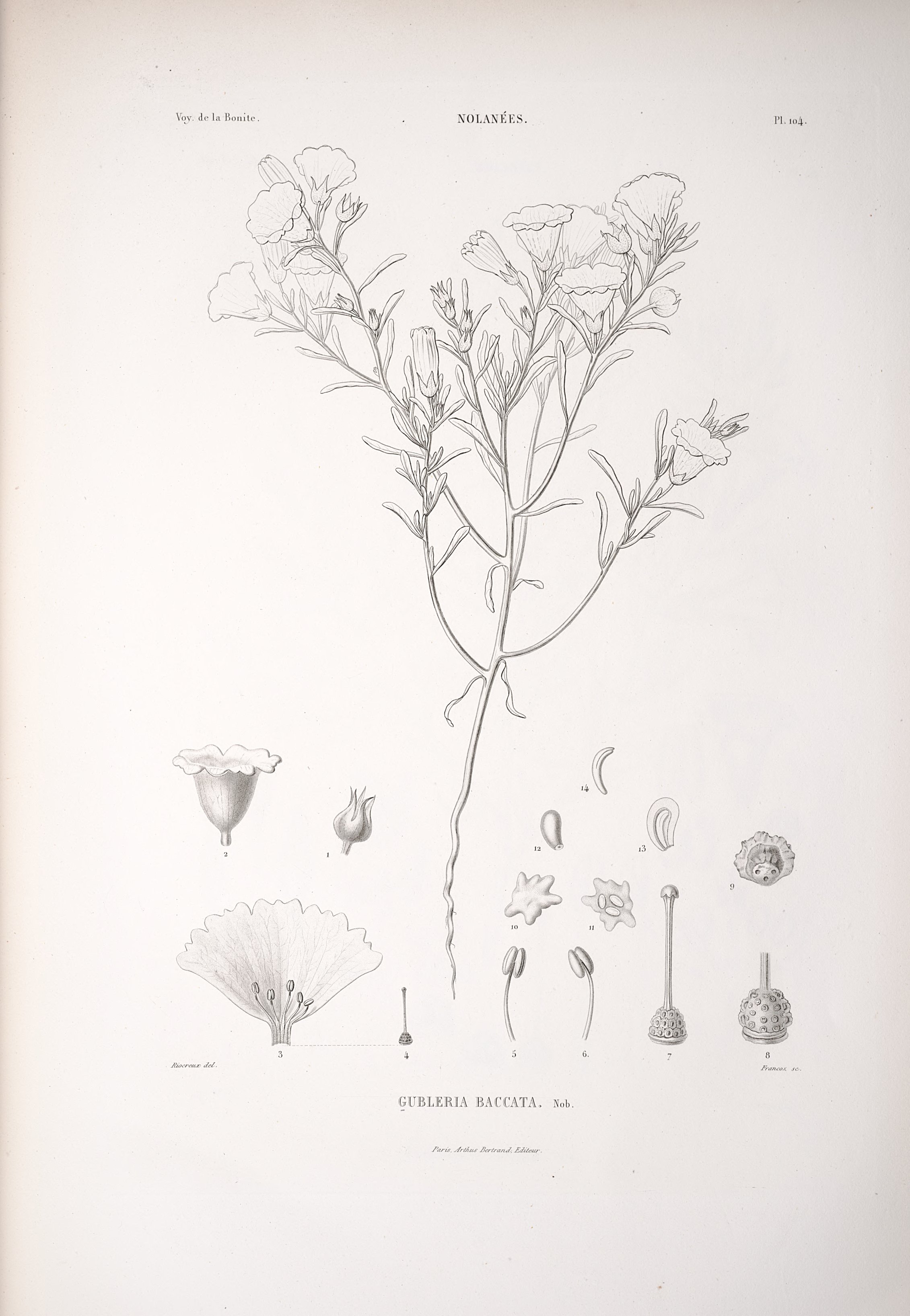 no full size  illustration available (3a)