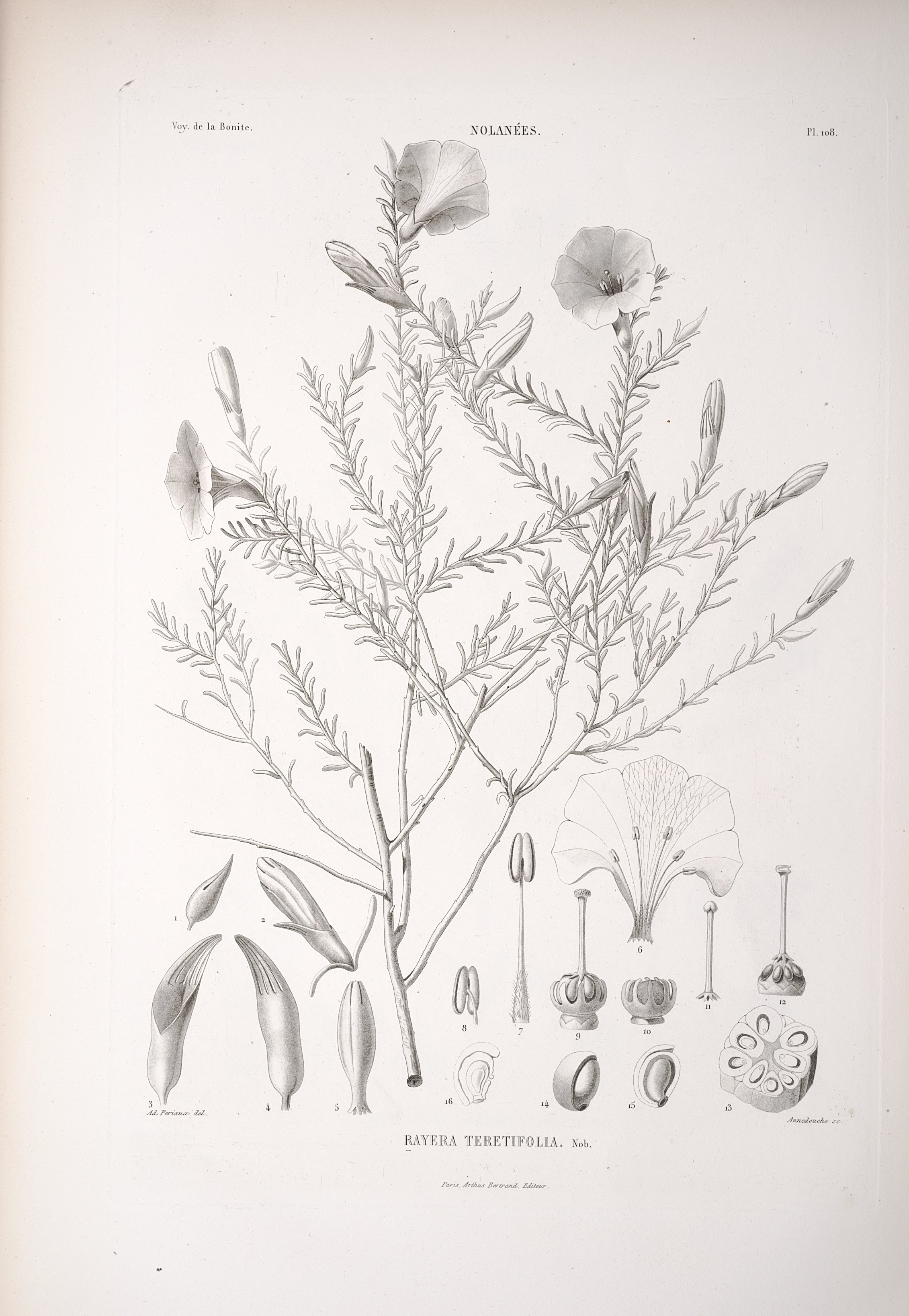 no full size  illustration available (3a)