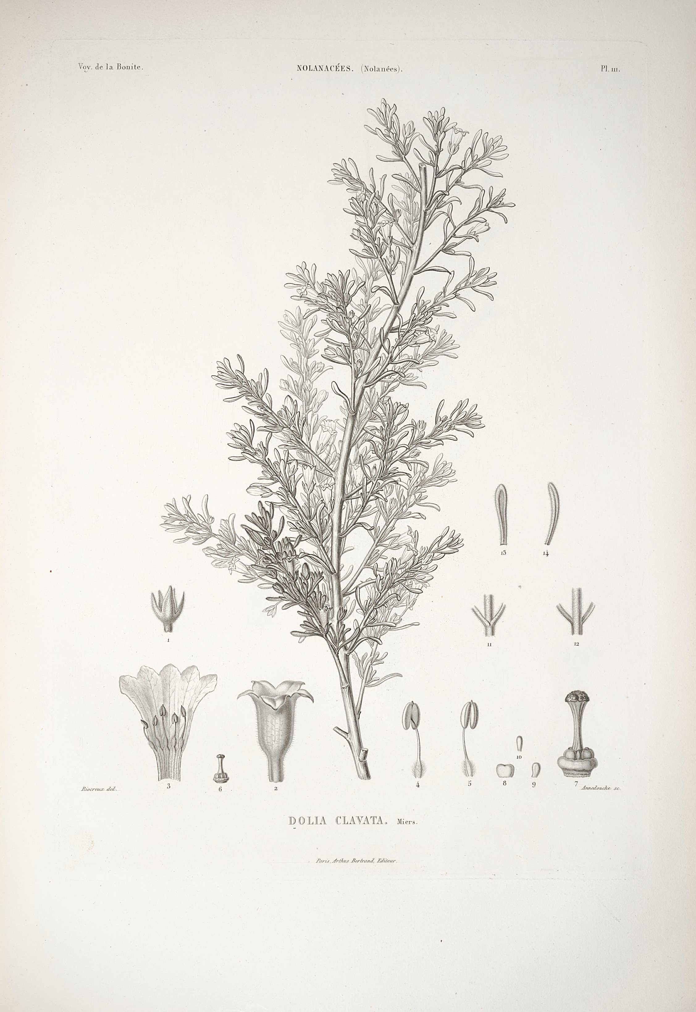 no full size  illustration available (3a)