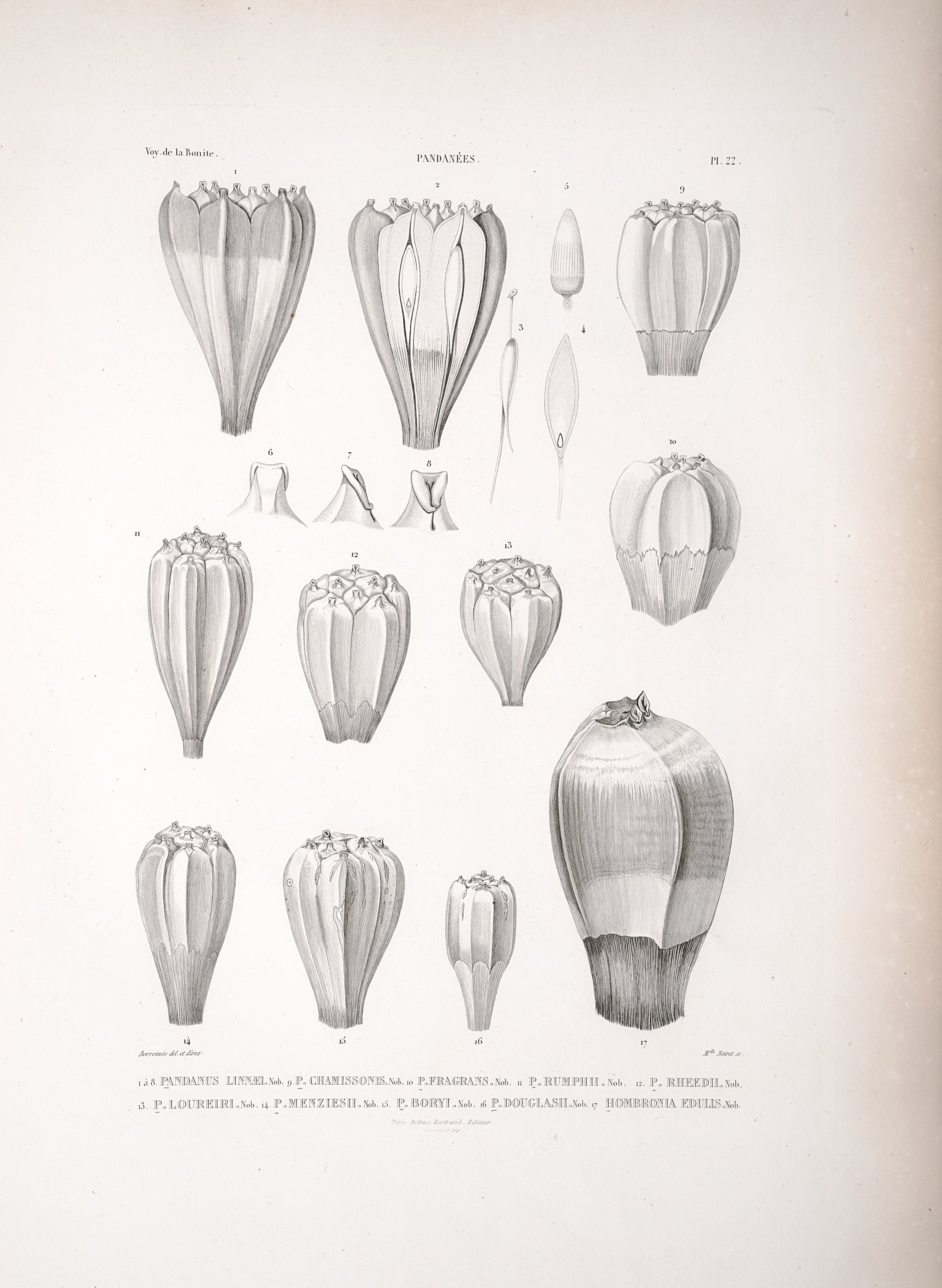 no full size  illustration available (3a)