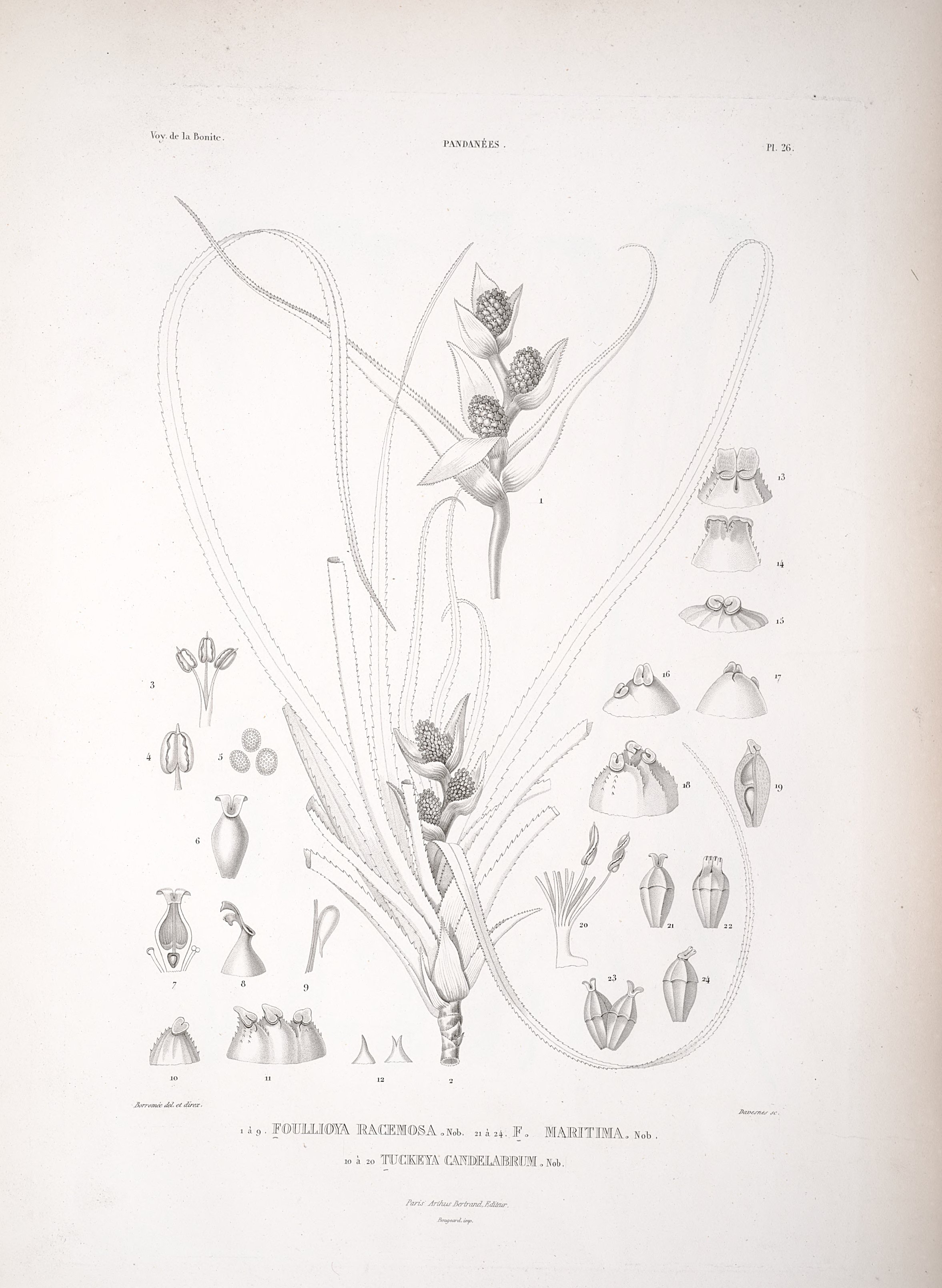 no full size  illustration available (3a)