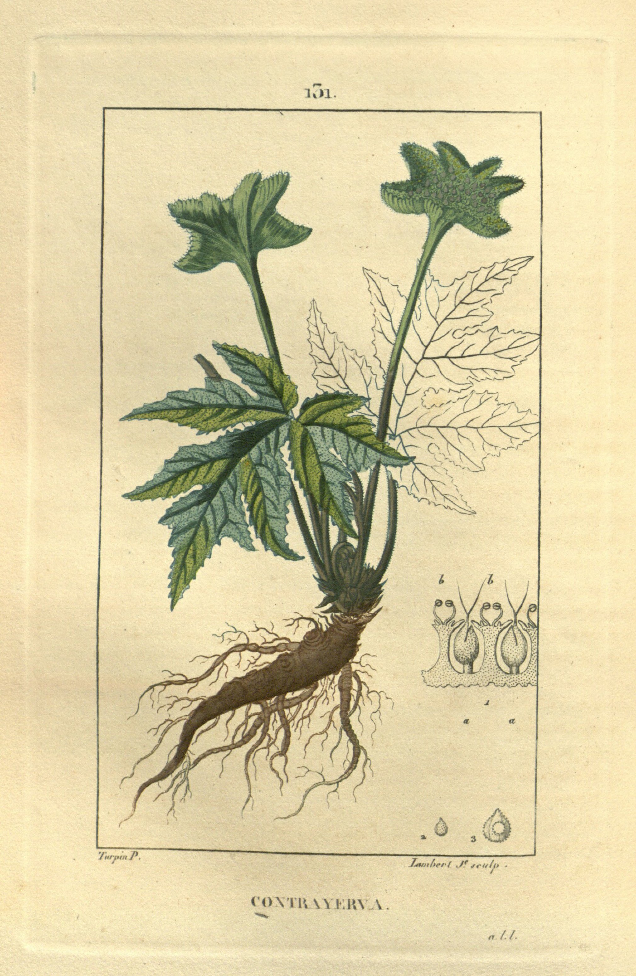 no full size  illustration available (3a)