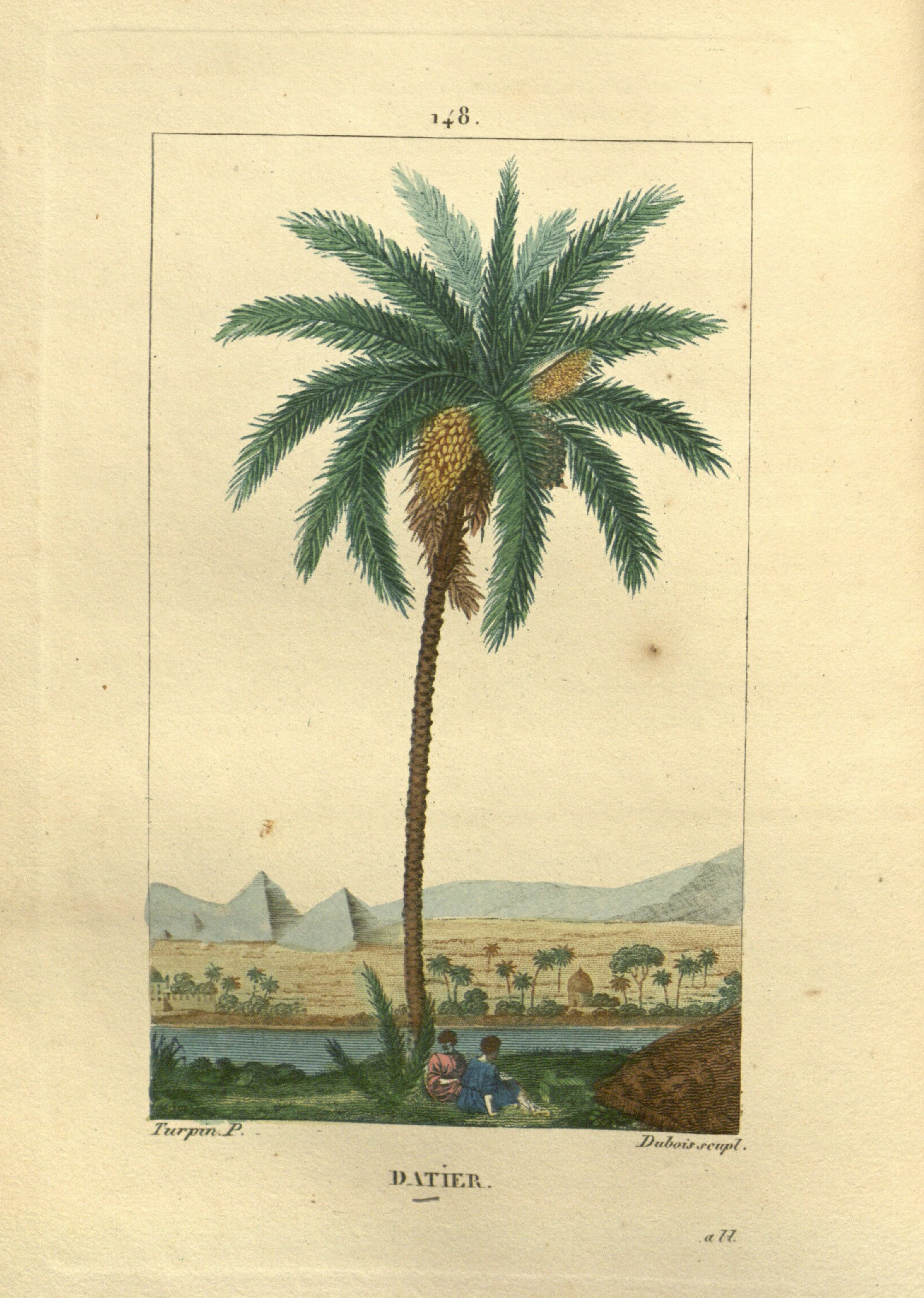 no full size  illustration available (3a)