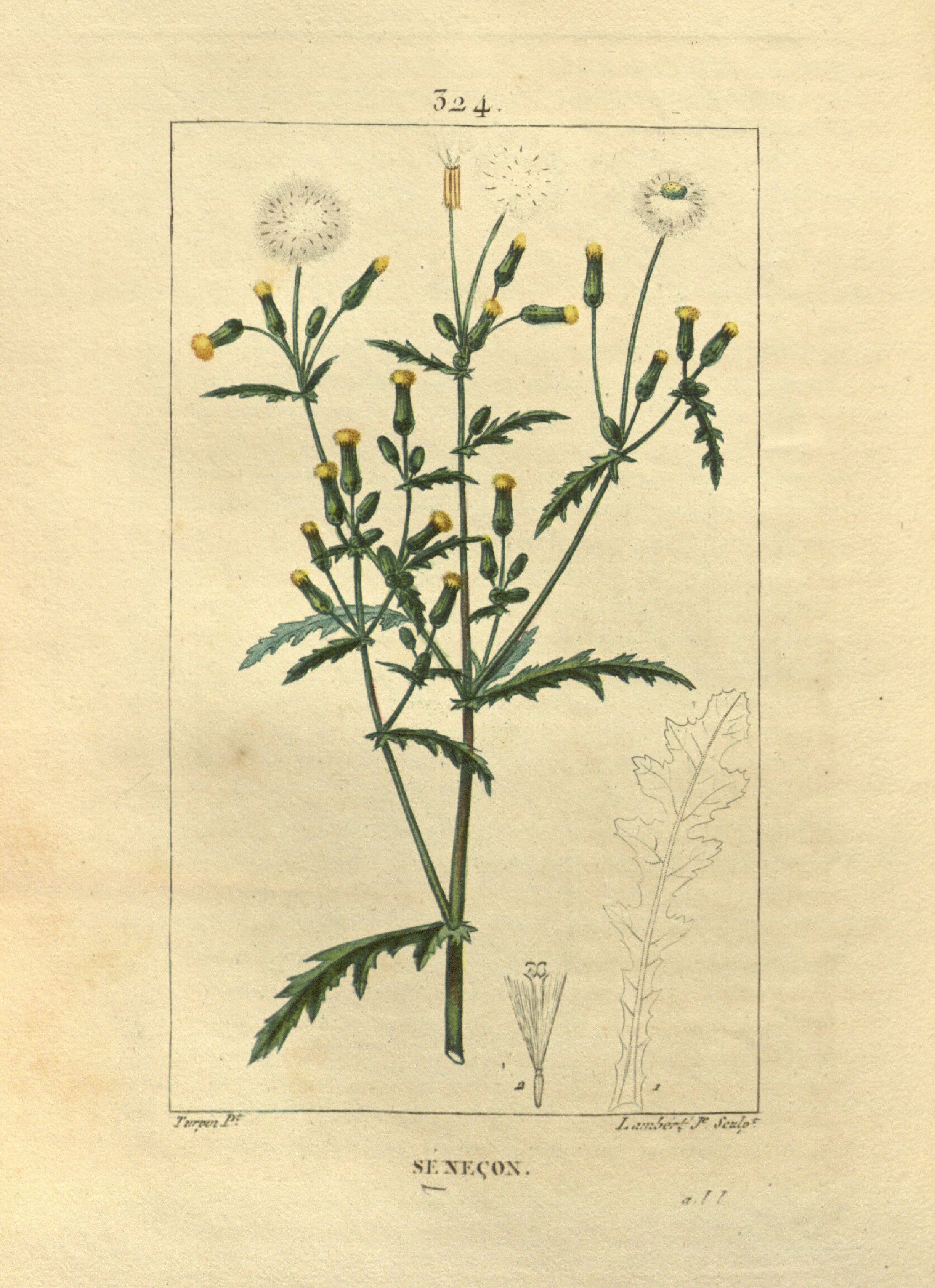 no full size  illustration available (3a)