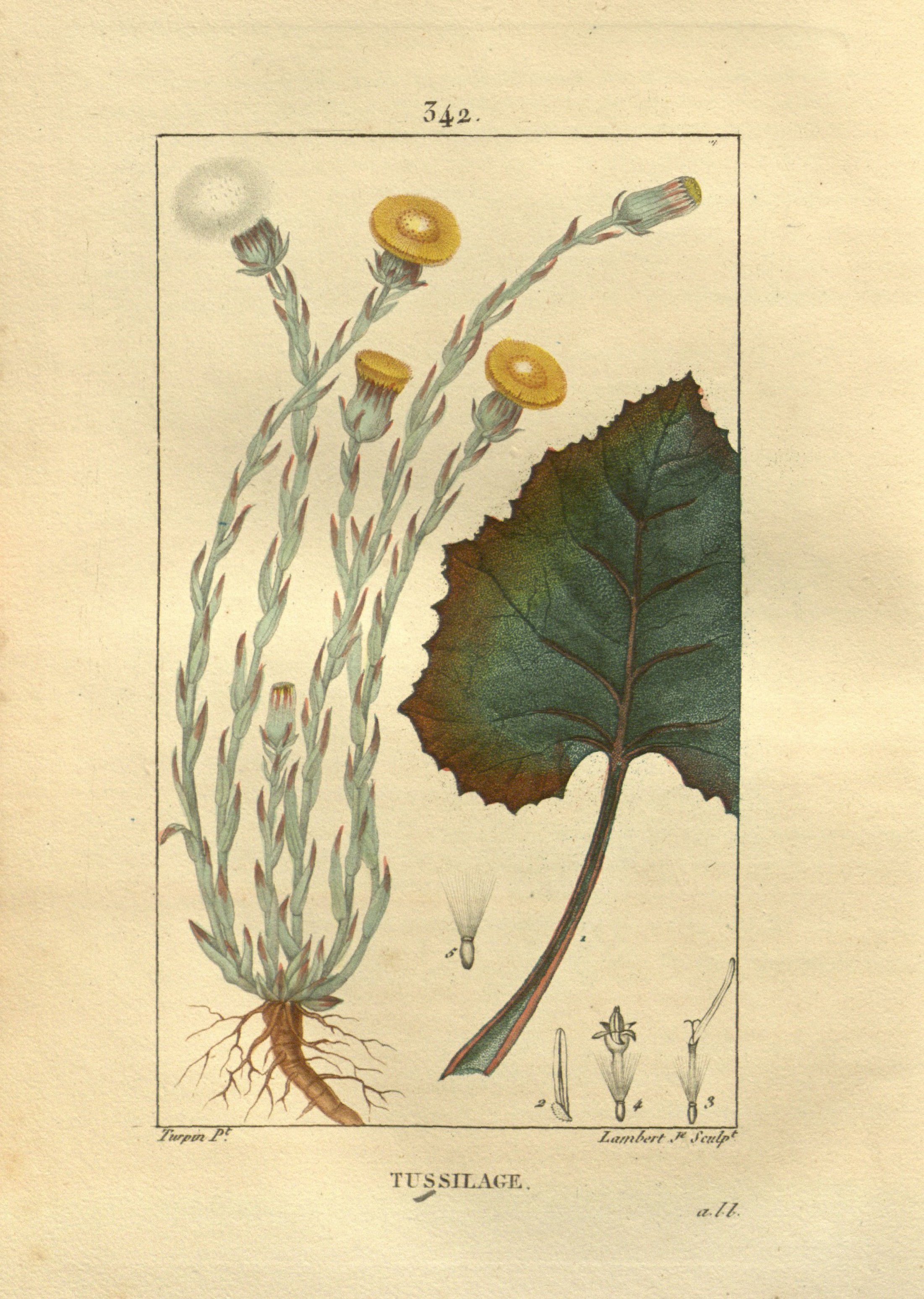 no full size  illustration available (3a)