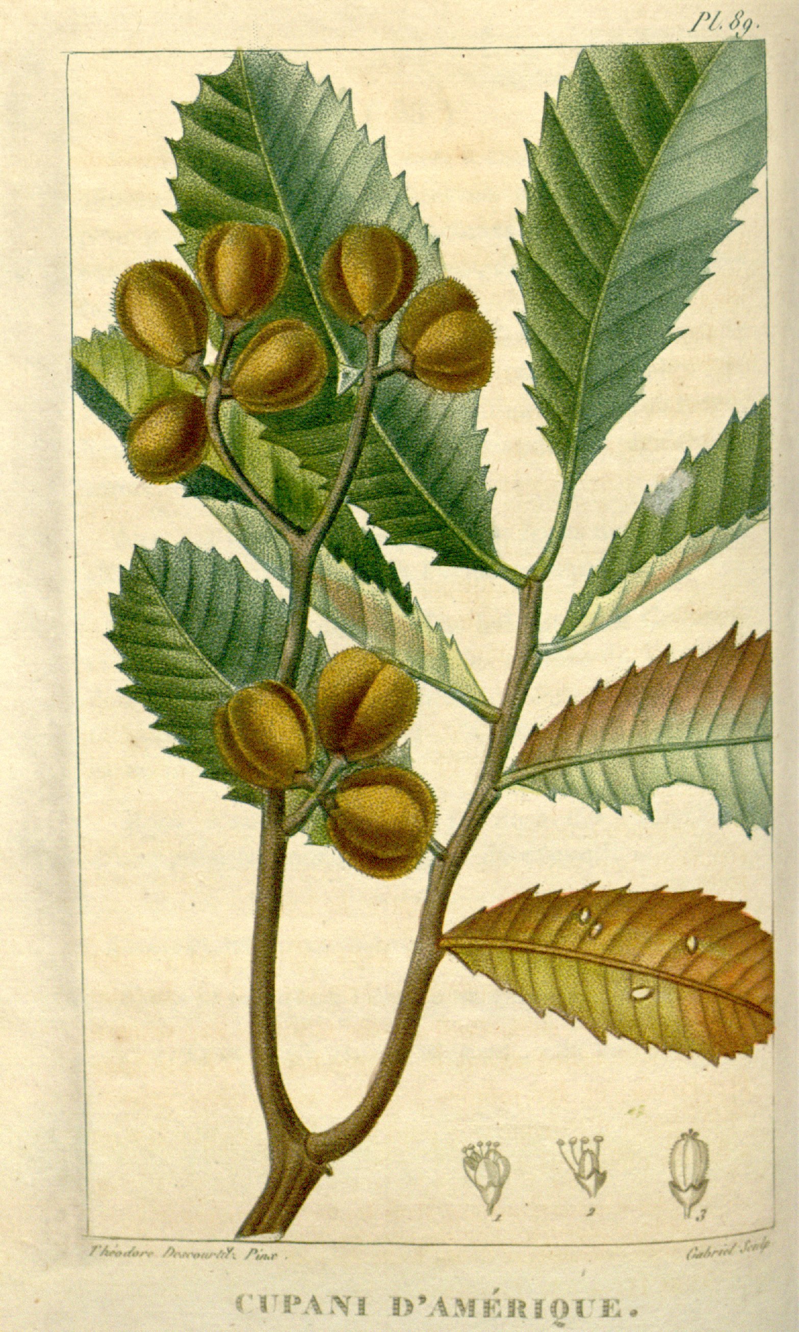 no full size  illustration available (3a)