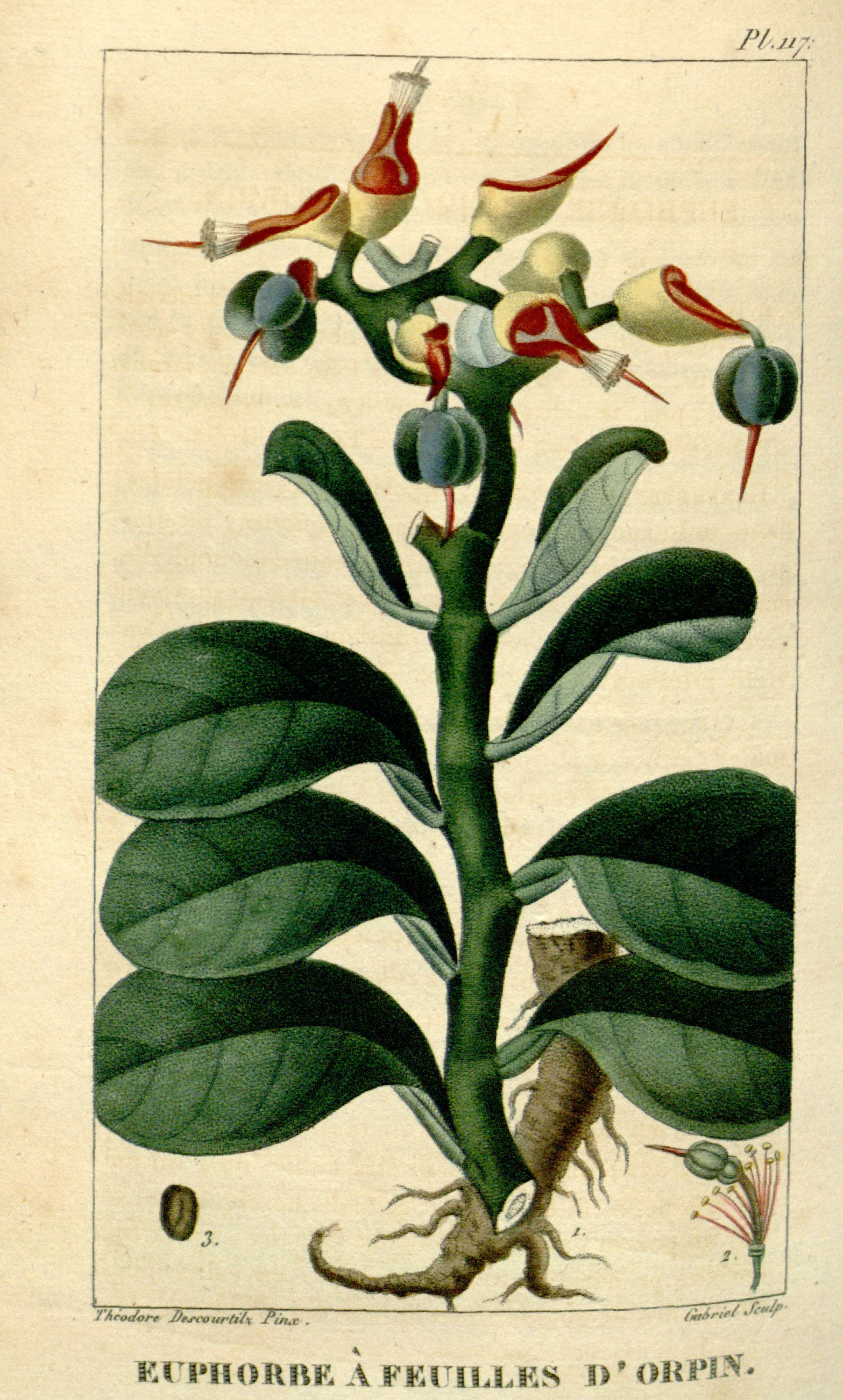 no full size  illustration available (3a)