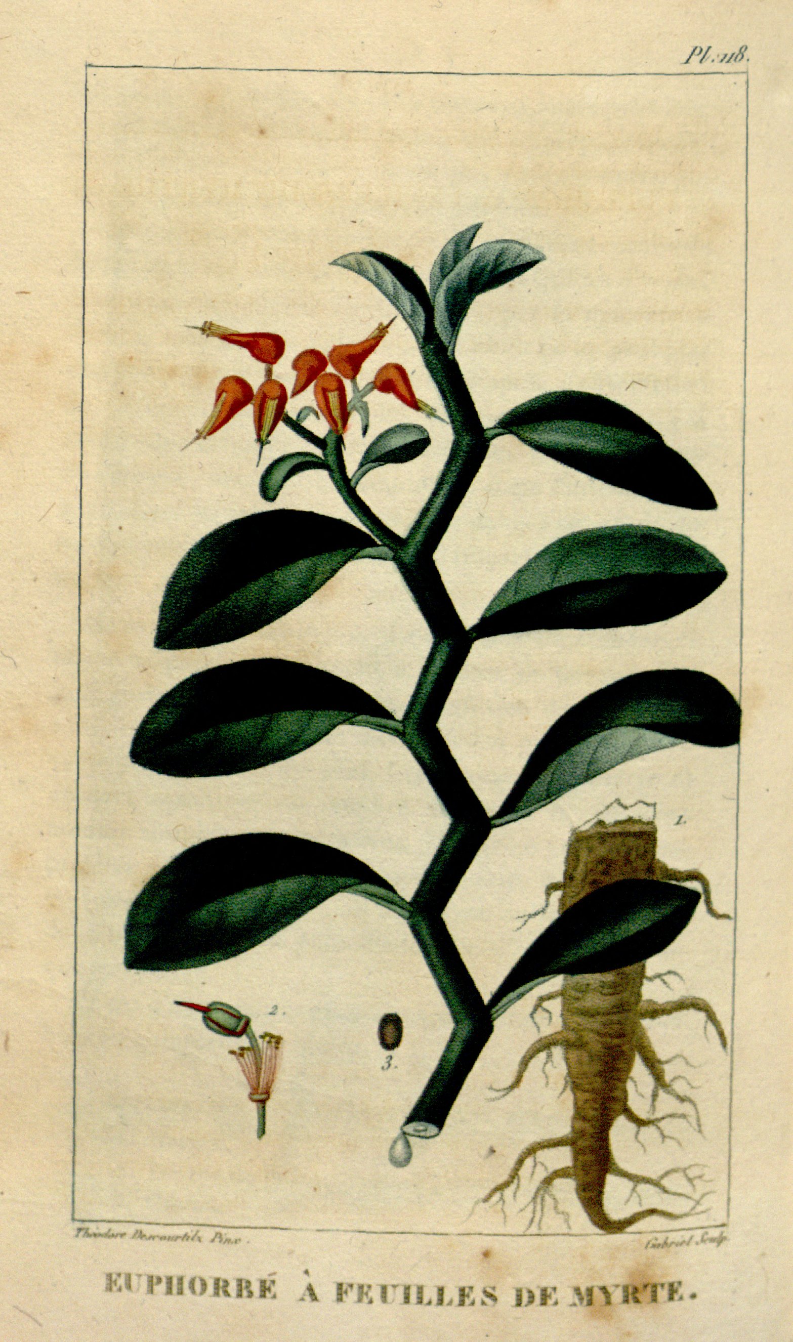 no full size  illustration available (3a)