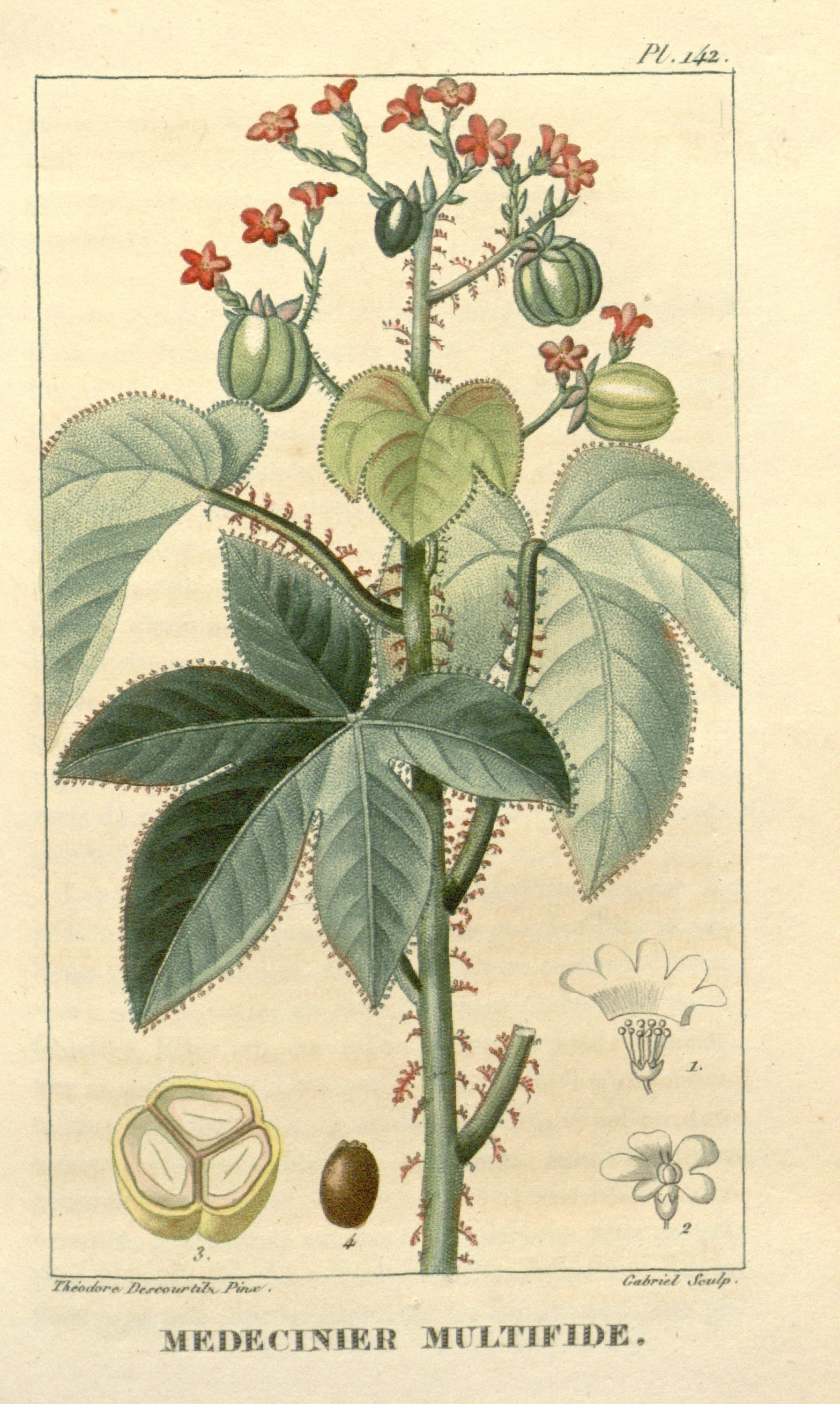 no full size  illustration available (3a)