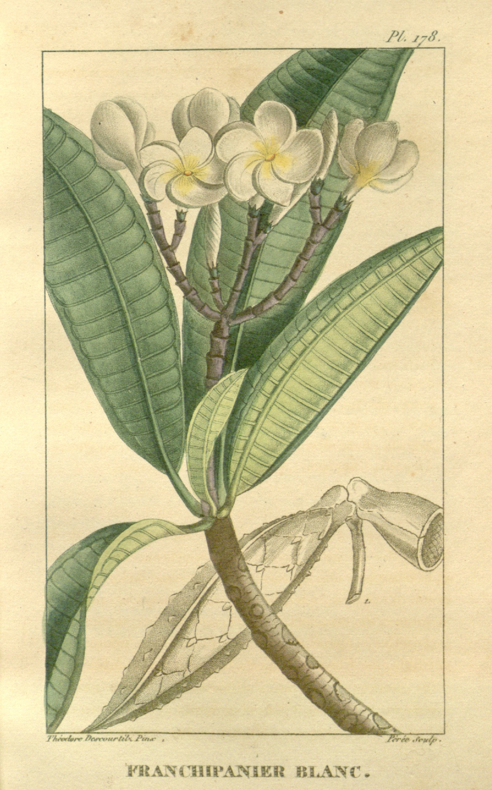 no full size  illustration available (3a)