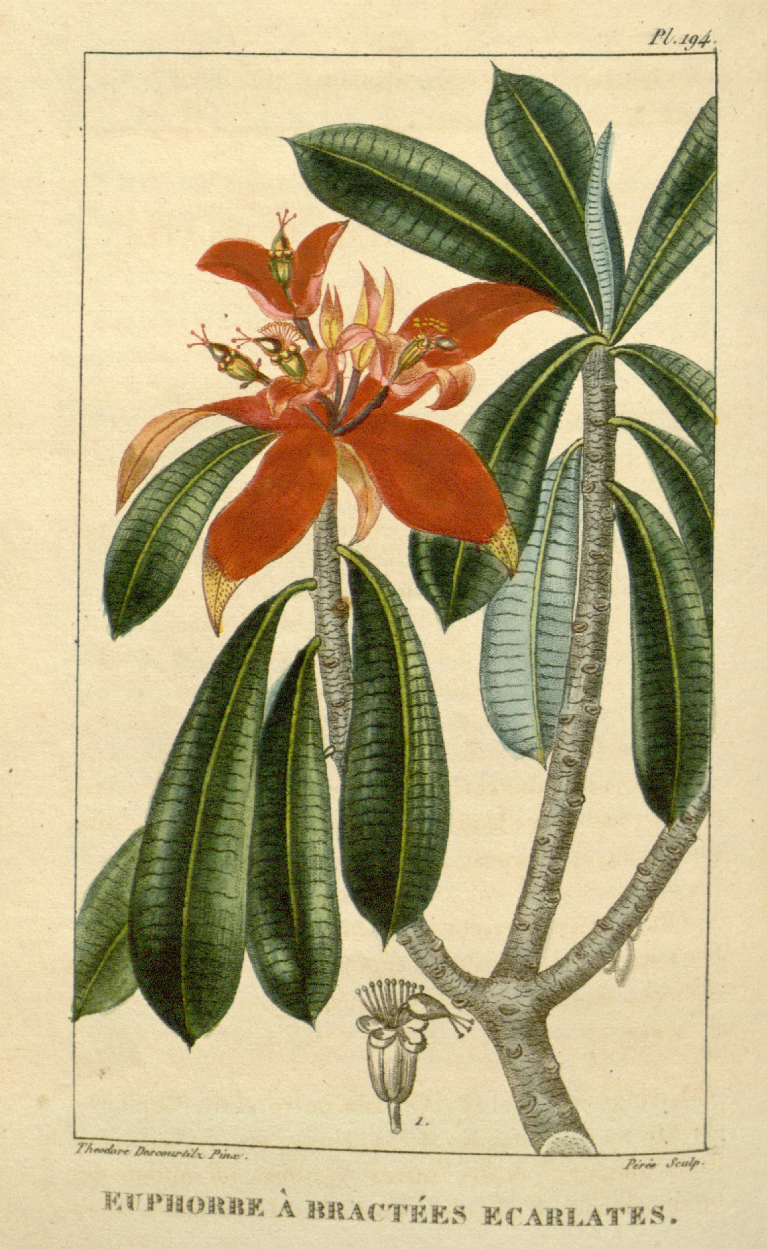 no full size  illustration available (3a)