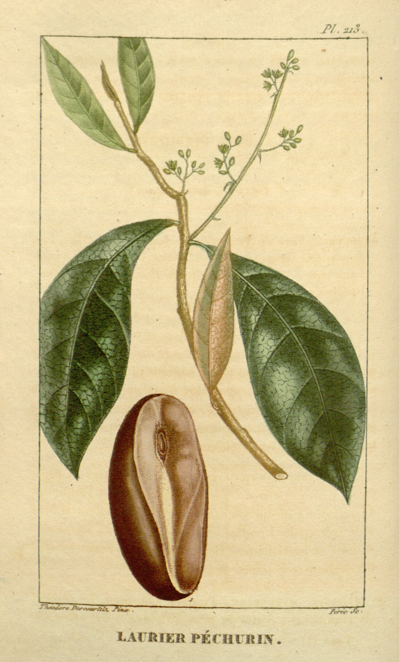 no full size  illustration available (3a)