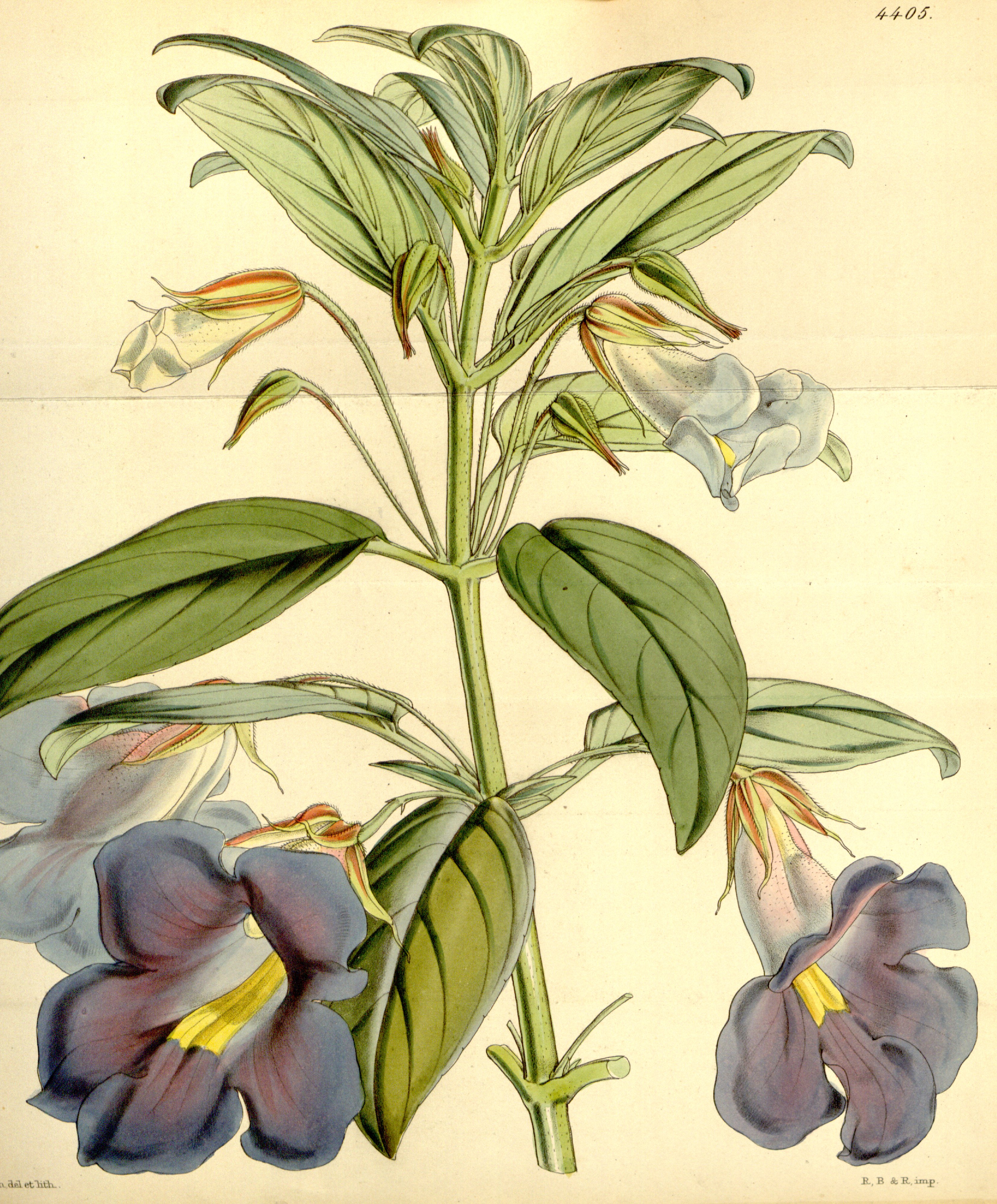 no full size  illustration available (3a)