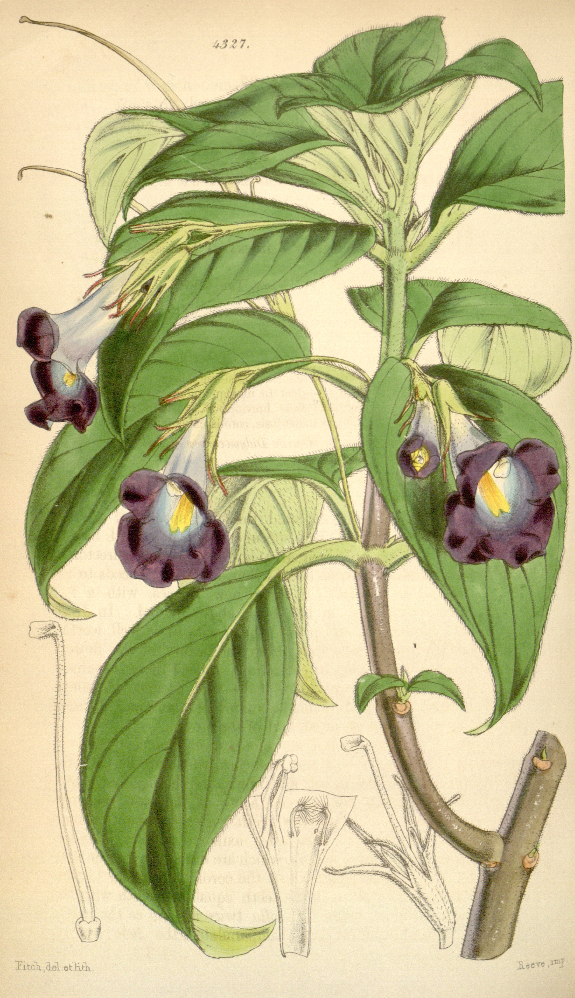 no full size  illustration available (3a)