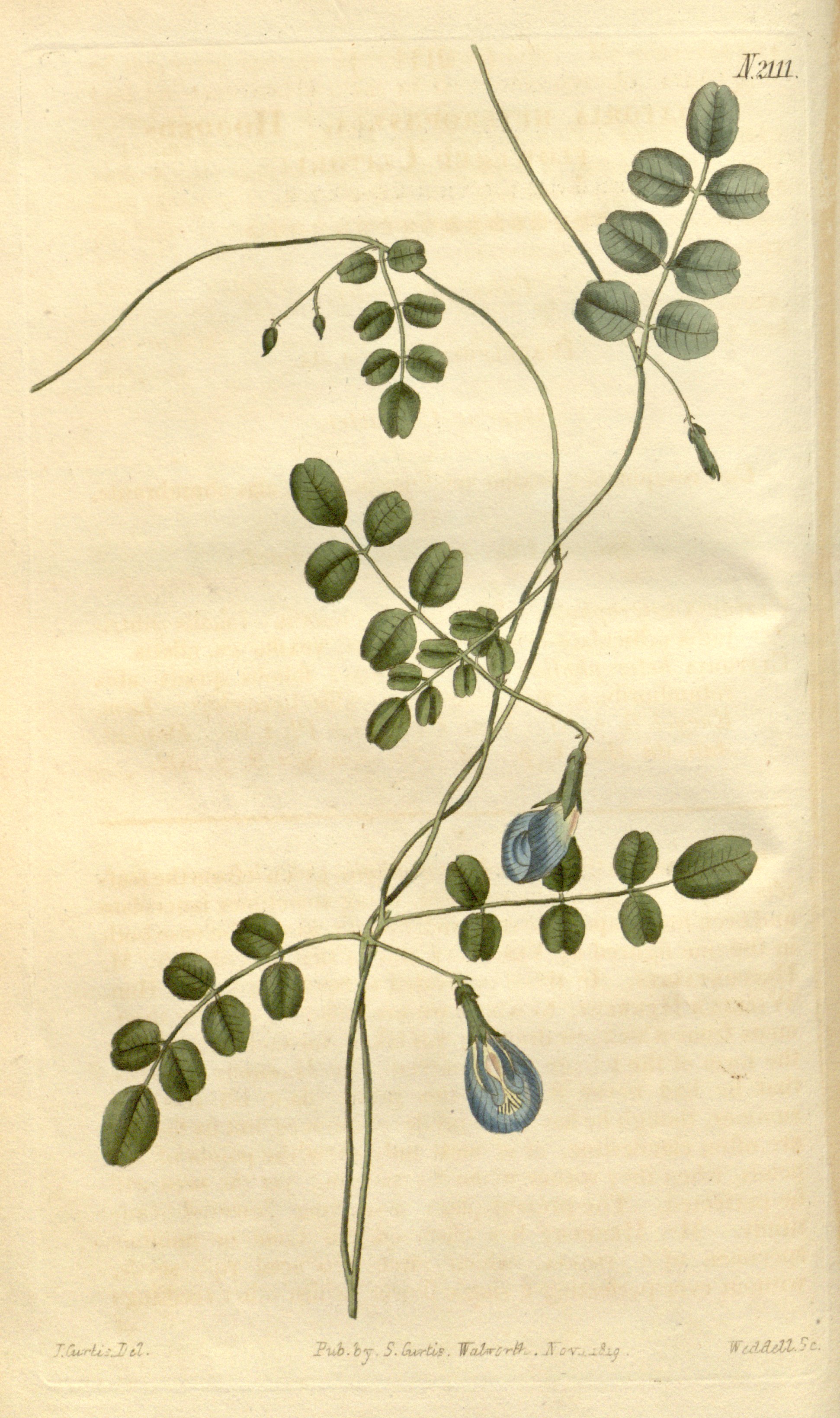 no full size  illustration available (3a)