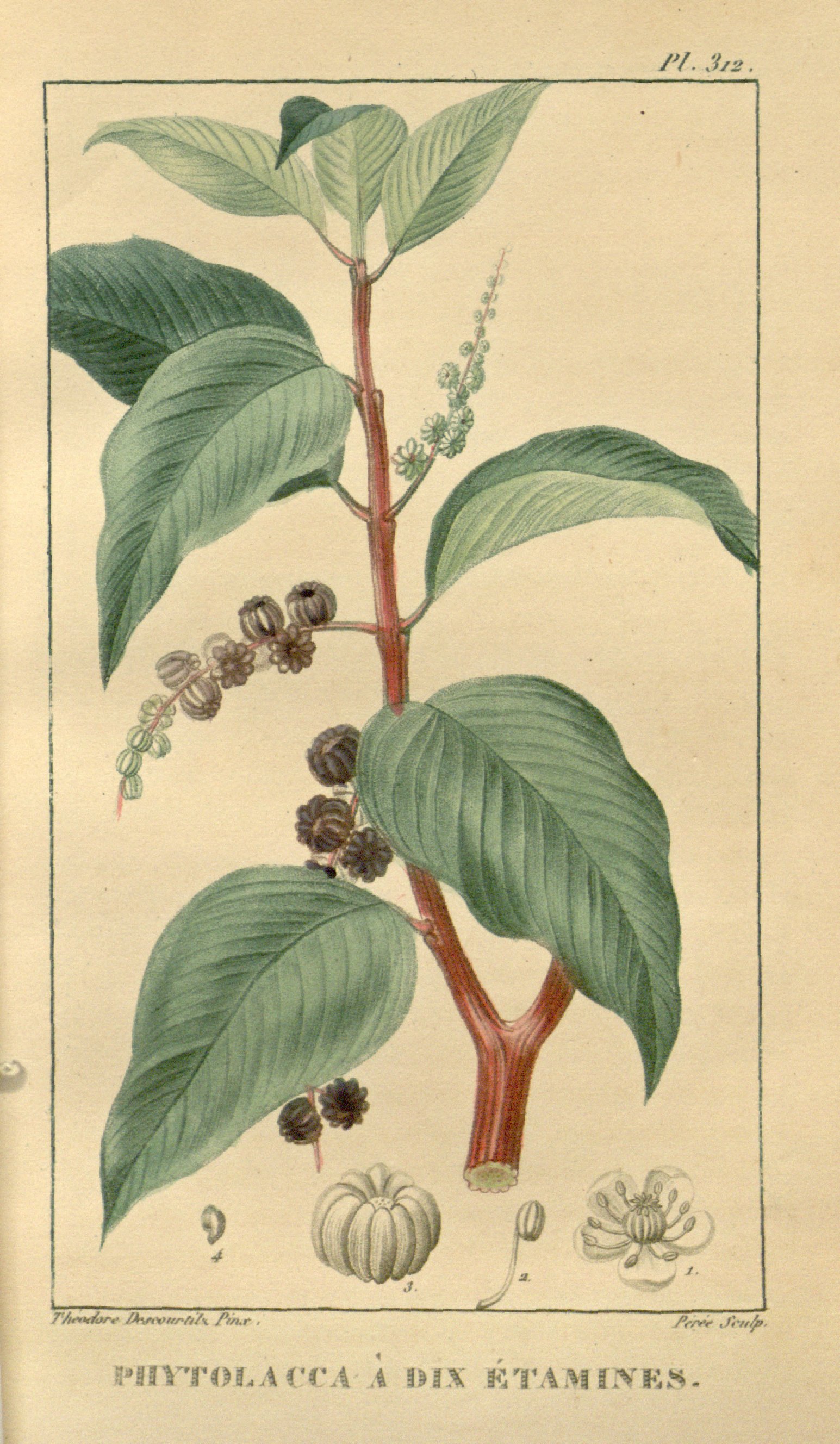 no full size  illustration available (3a)