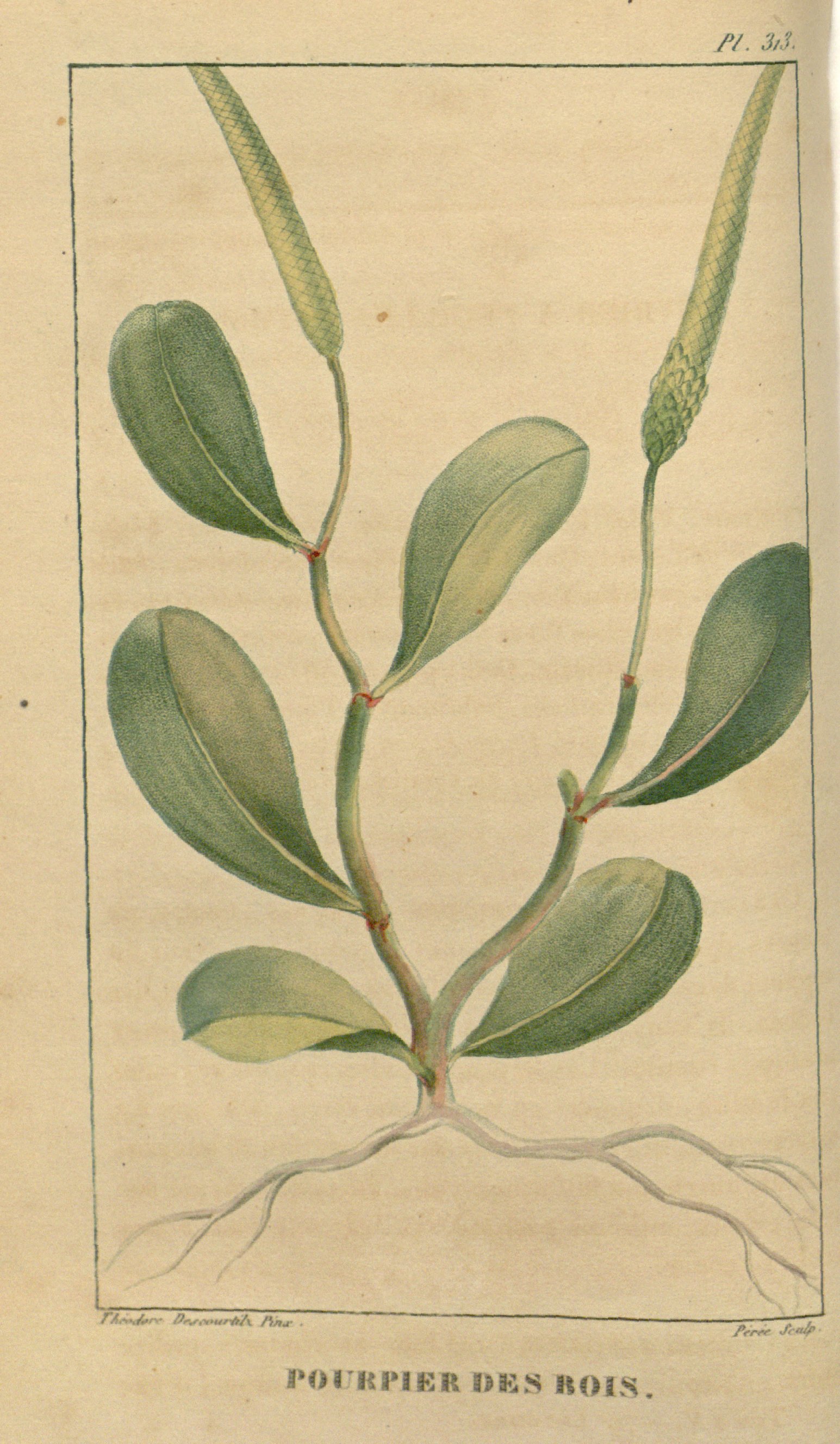 no full size  illustration available (3a)