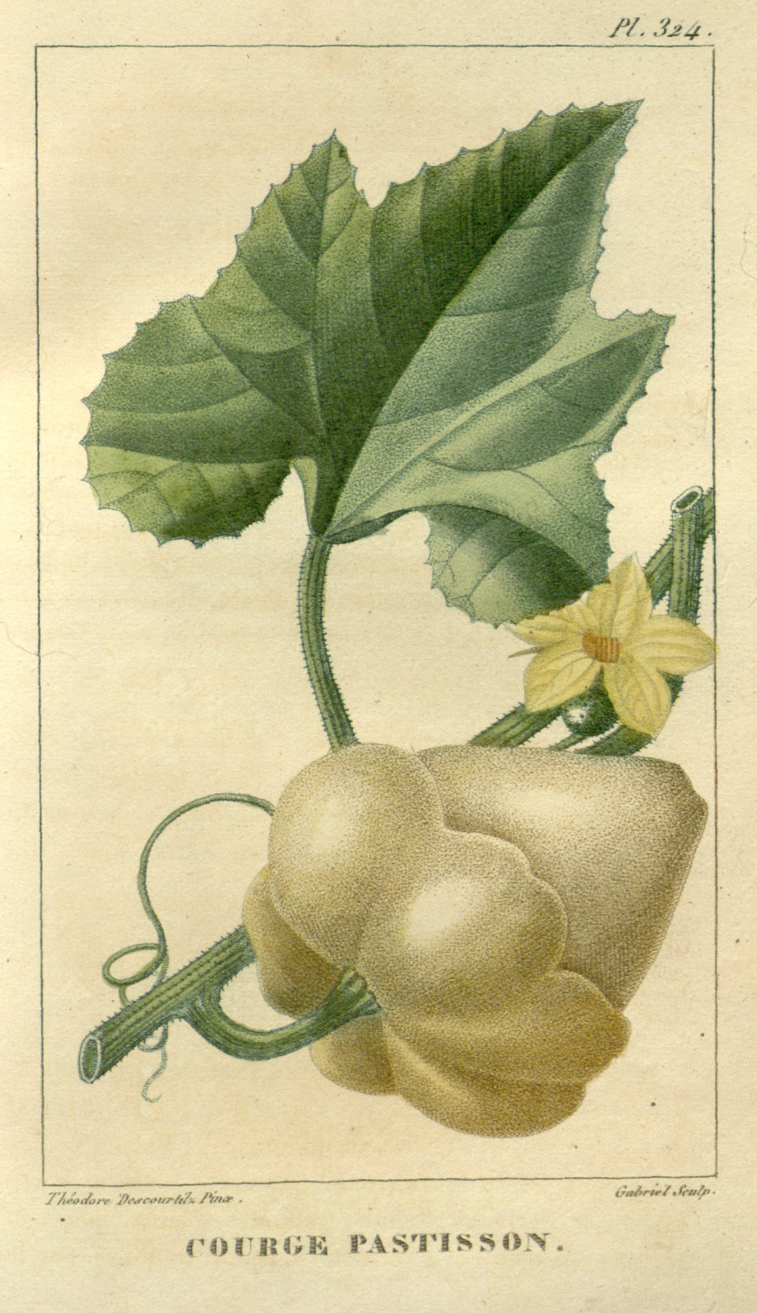 no full size  illustration available (3a)