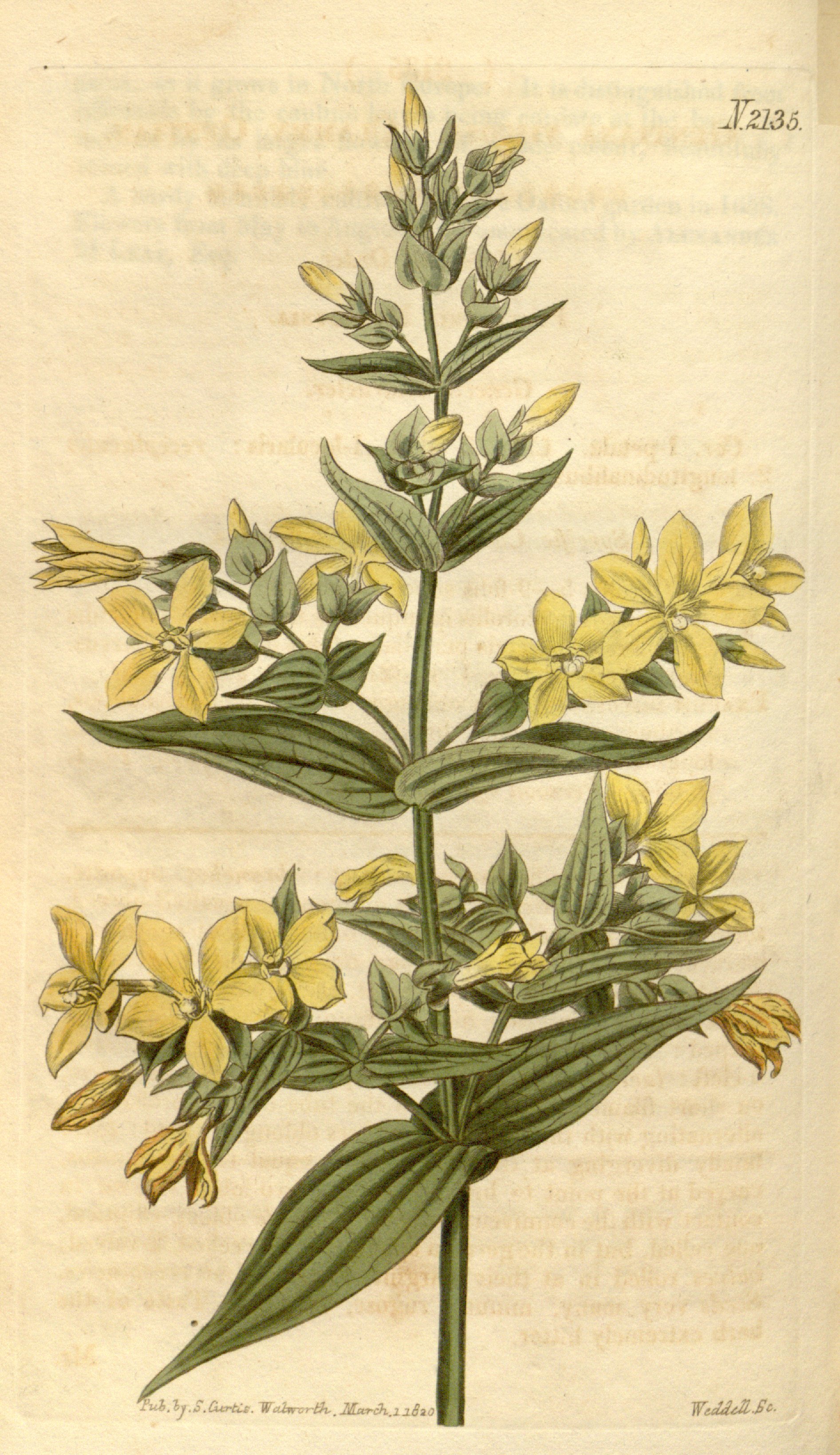 no full size  illustration available (3a)