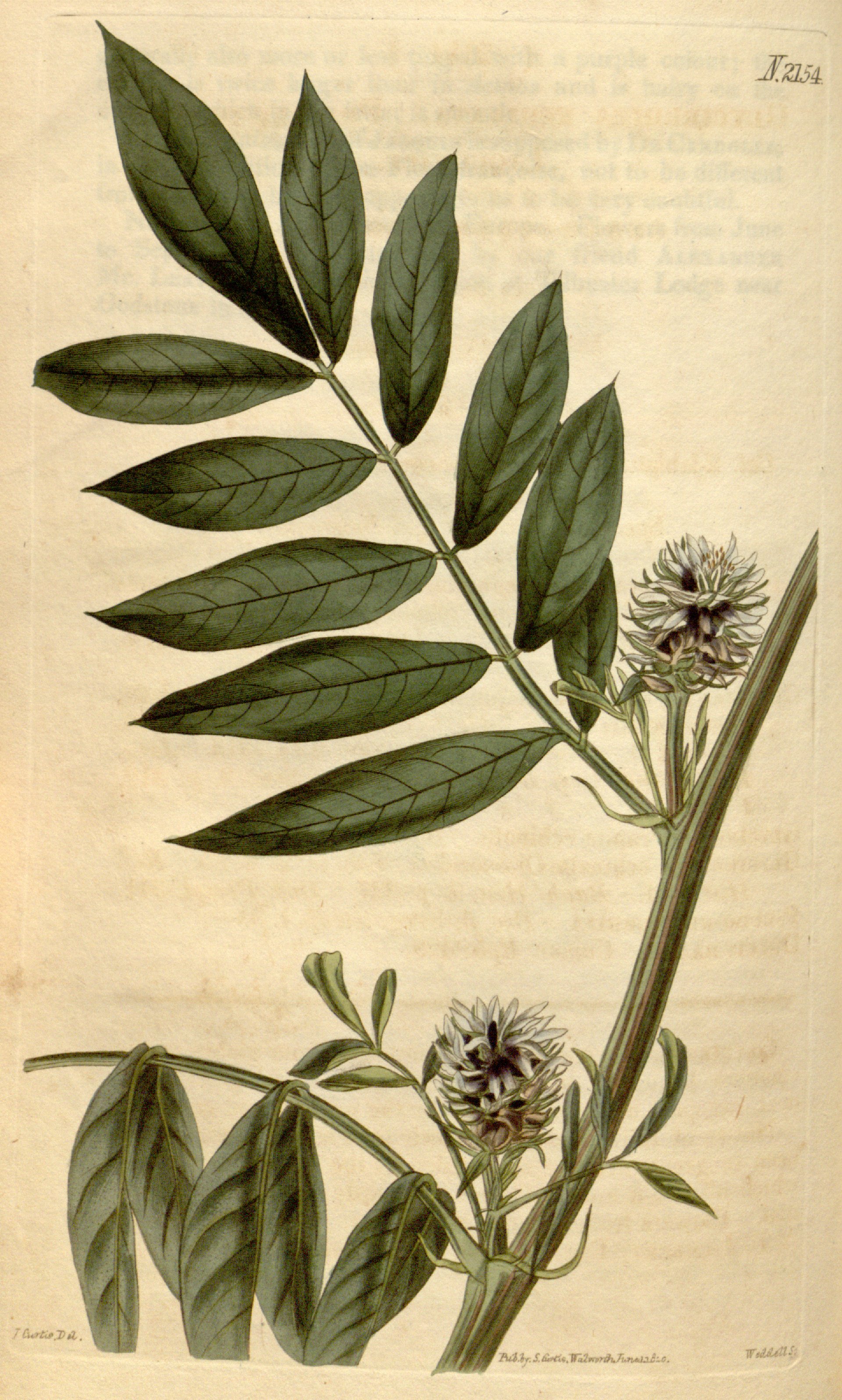 no full size  illustration available (3a)