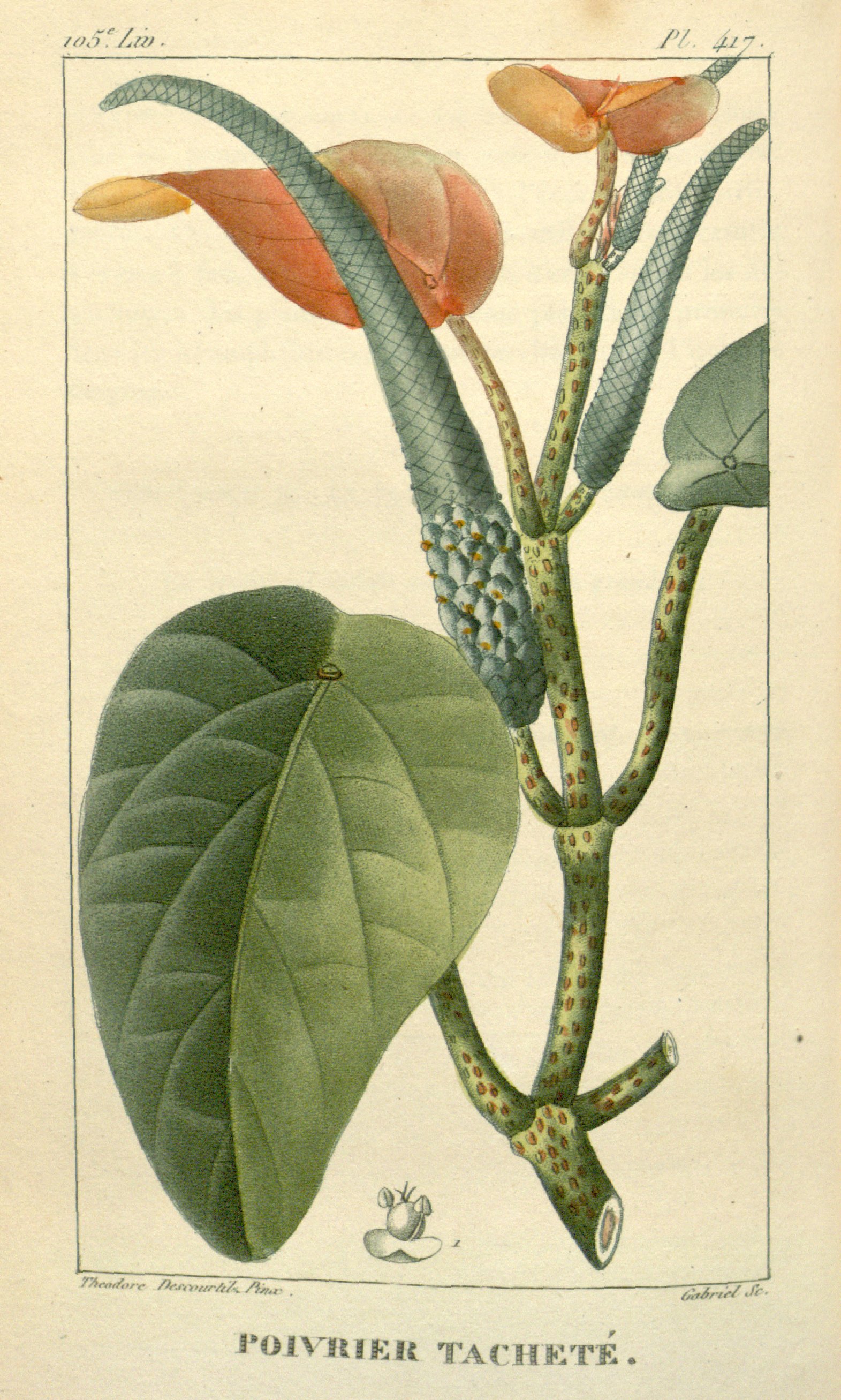 no full size  illustration available (3a)