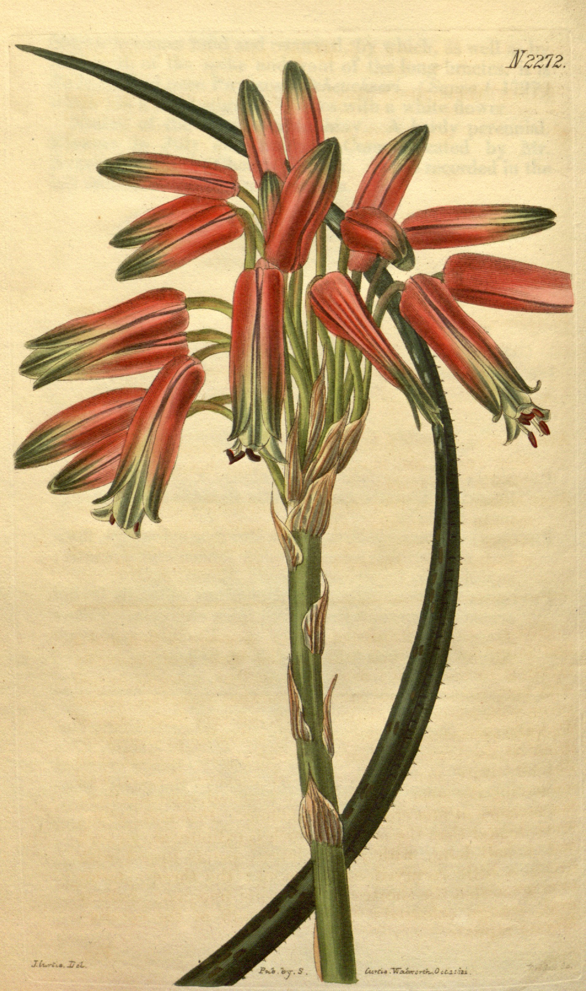 no full size  illustration available (3a)