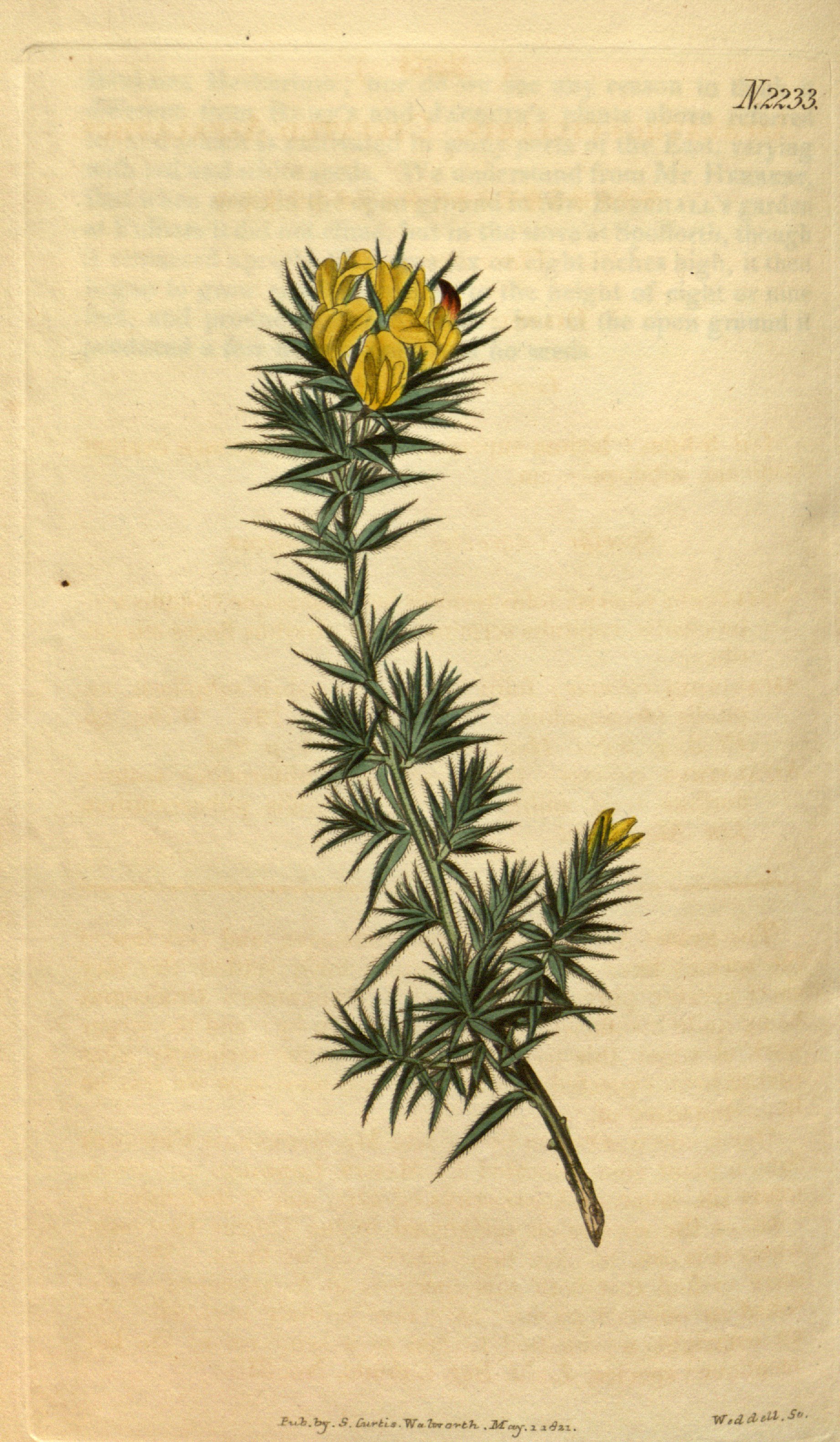 no full size  illustration available (3a)