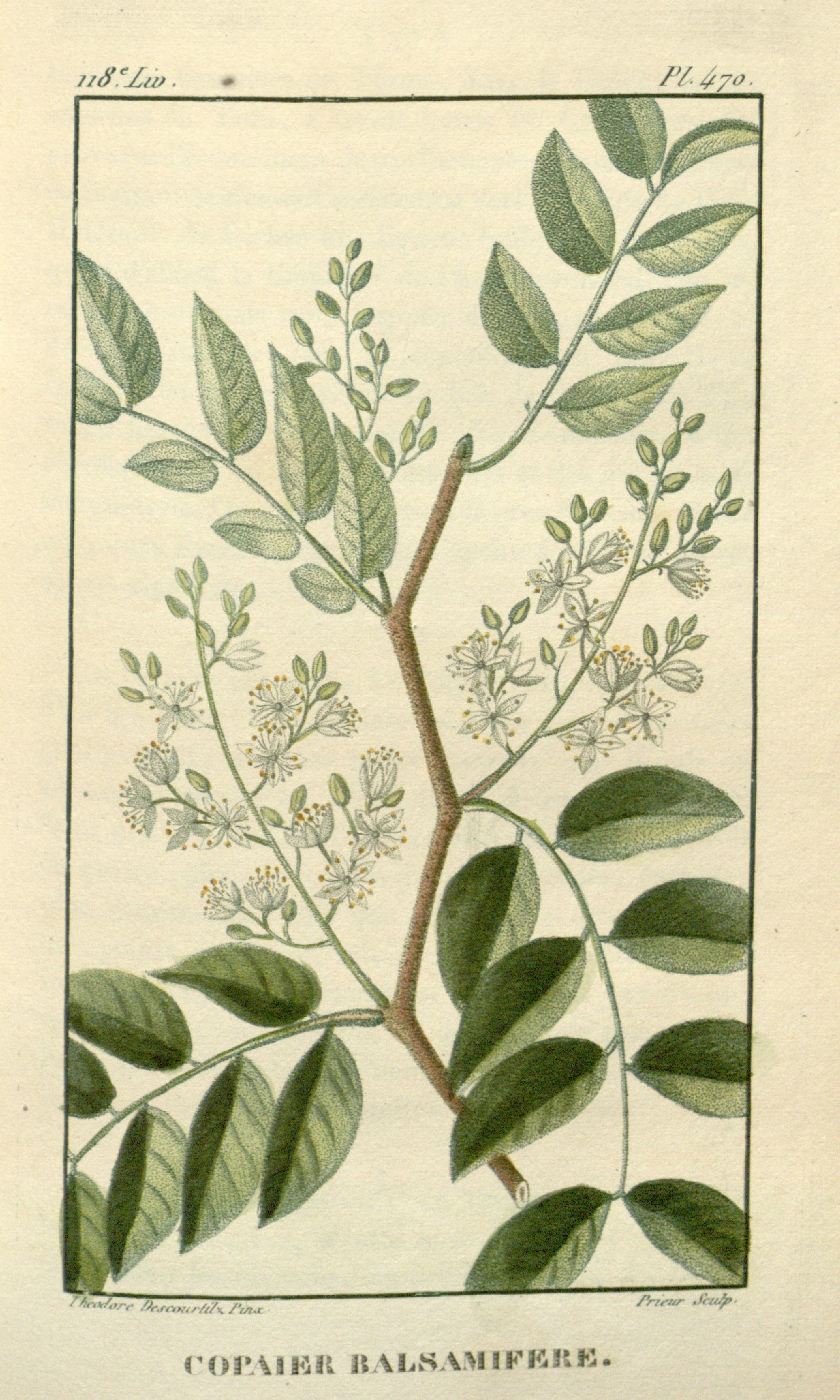 no full size  illustration available (3a)