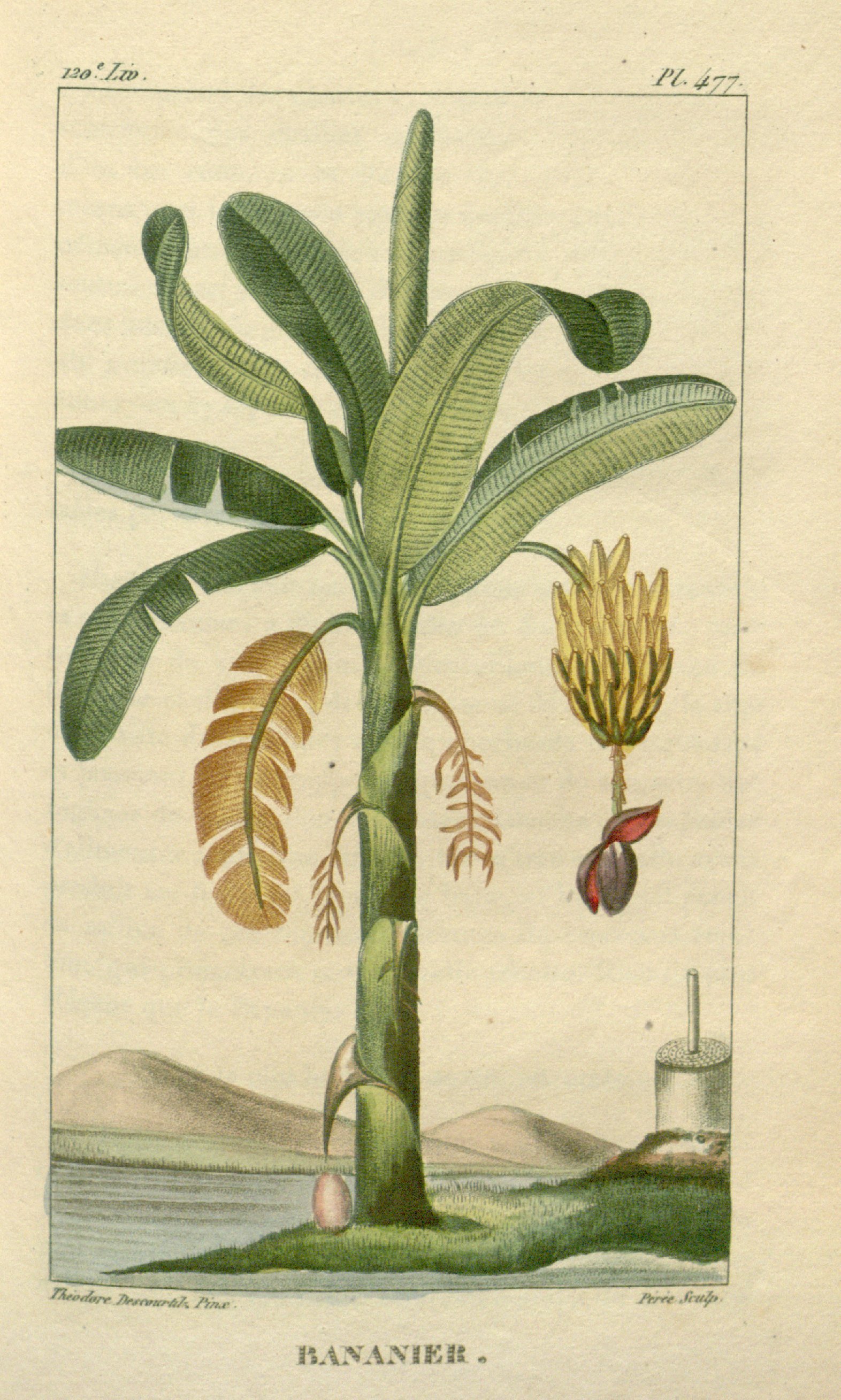 no full size  illustration available (3a)