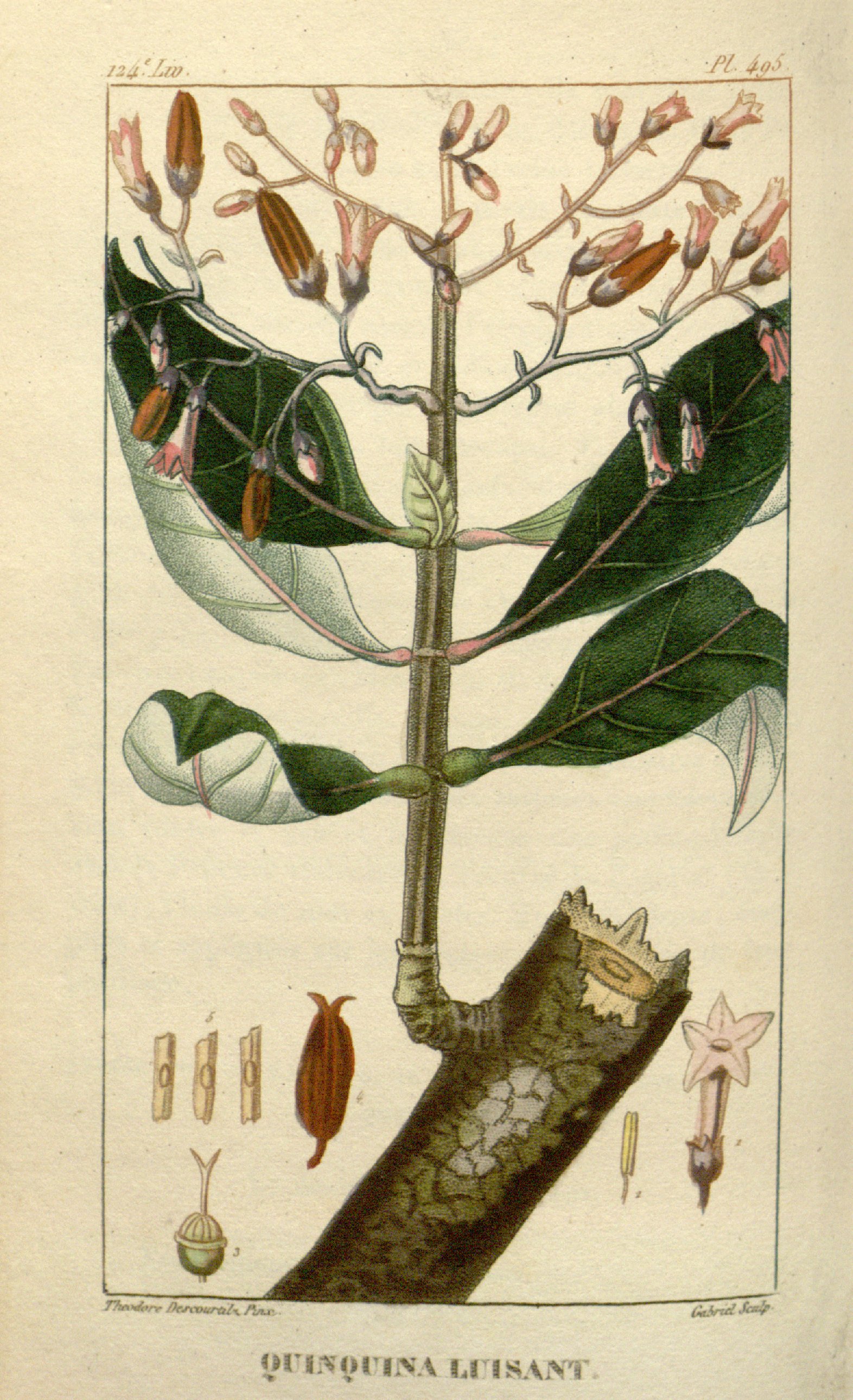 no full size  illustration available (3a)