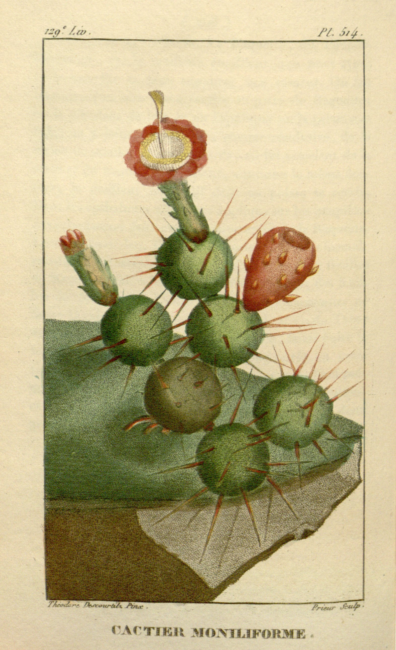 no full size  illustration available (3a)