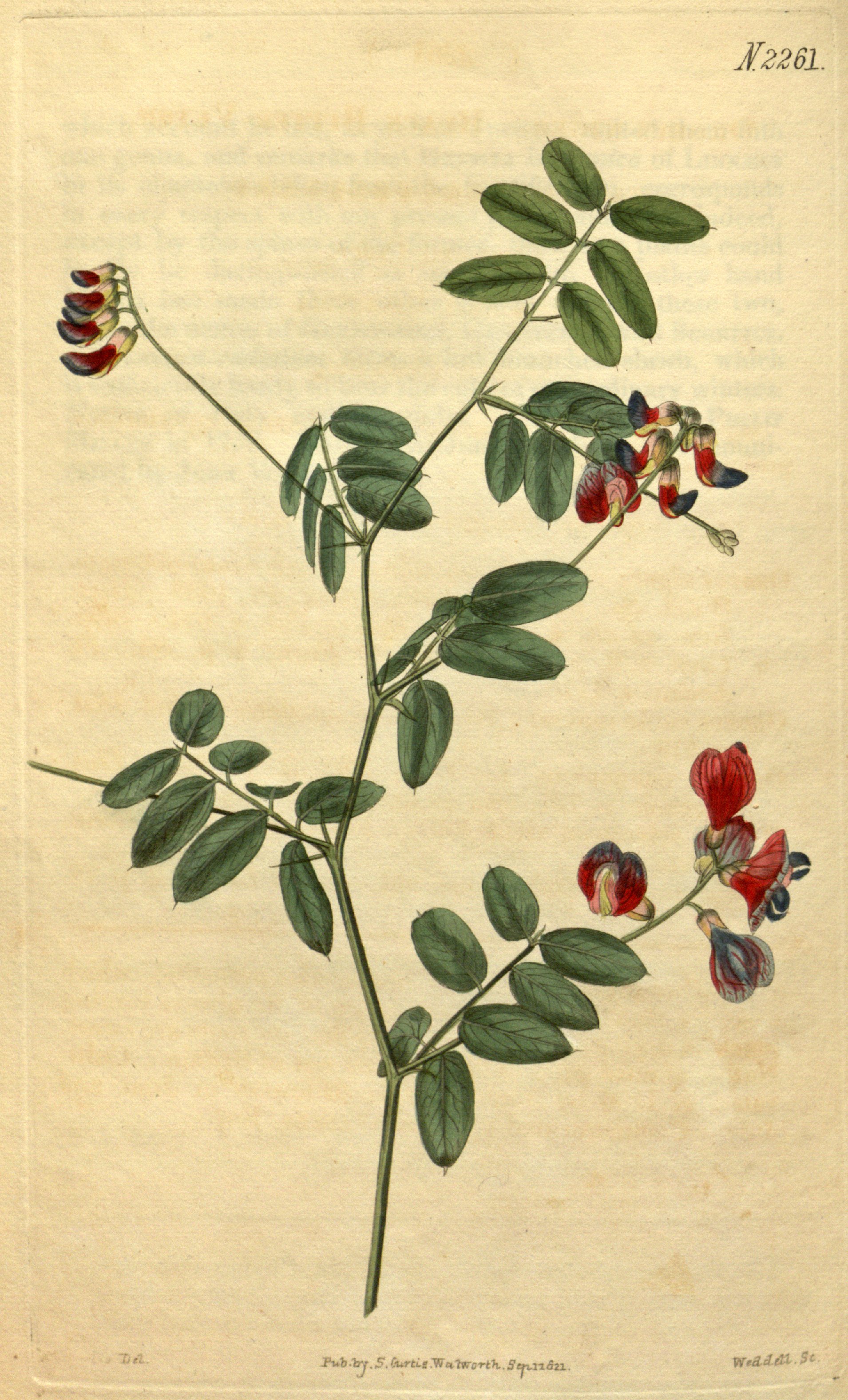 no full size  illustration available (3a)