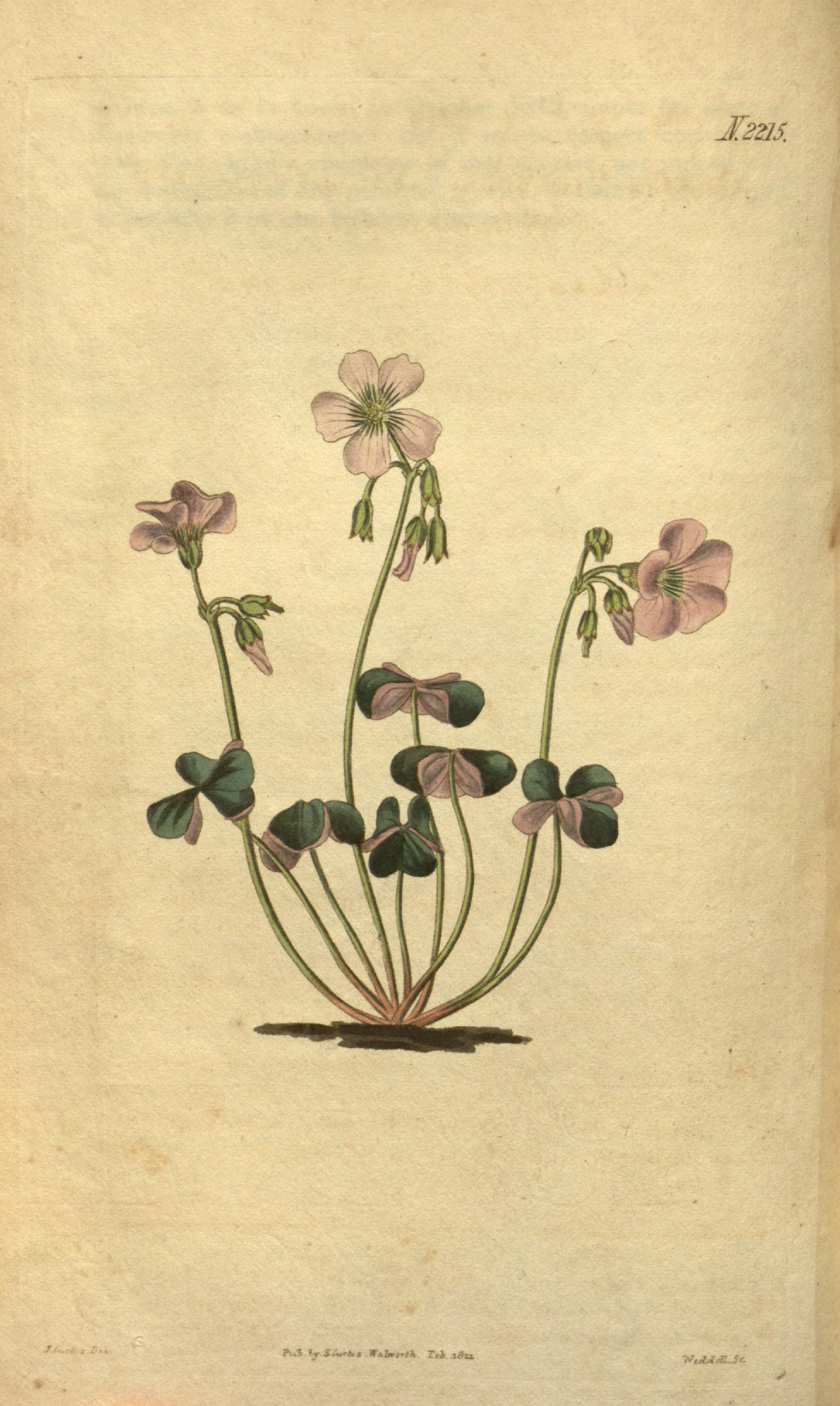 no full size  illustration available (3a)