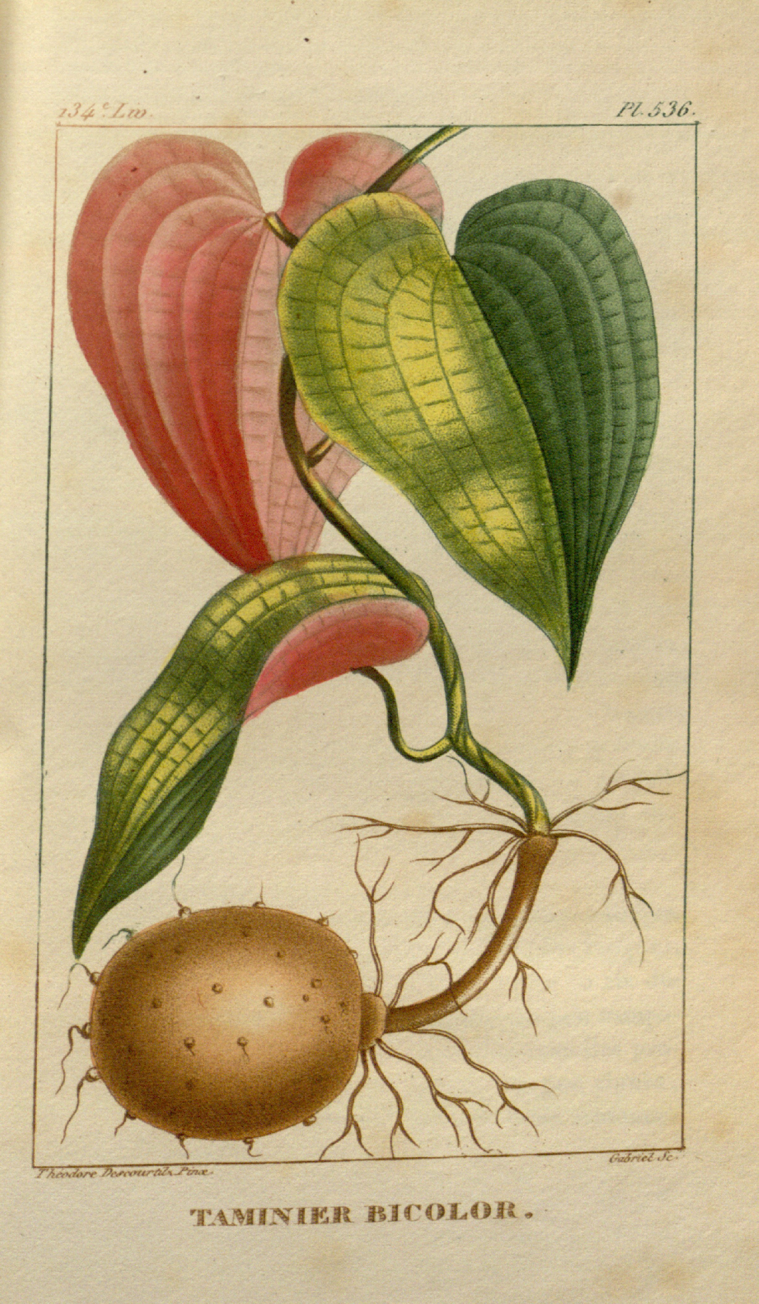 no full size  illustration available (3a)