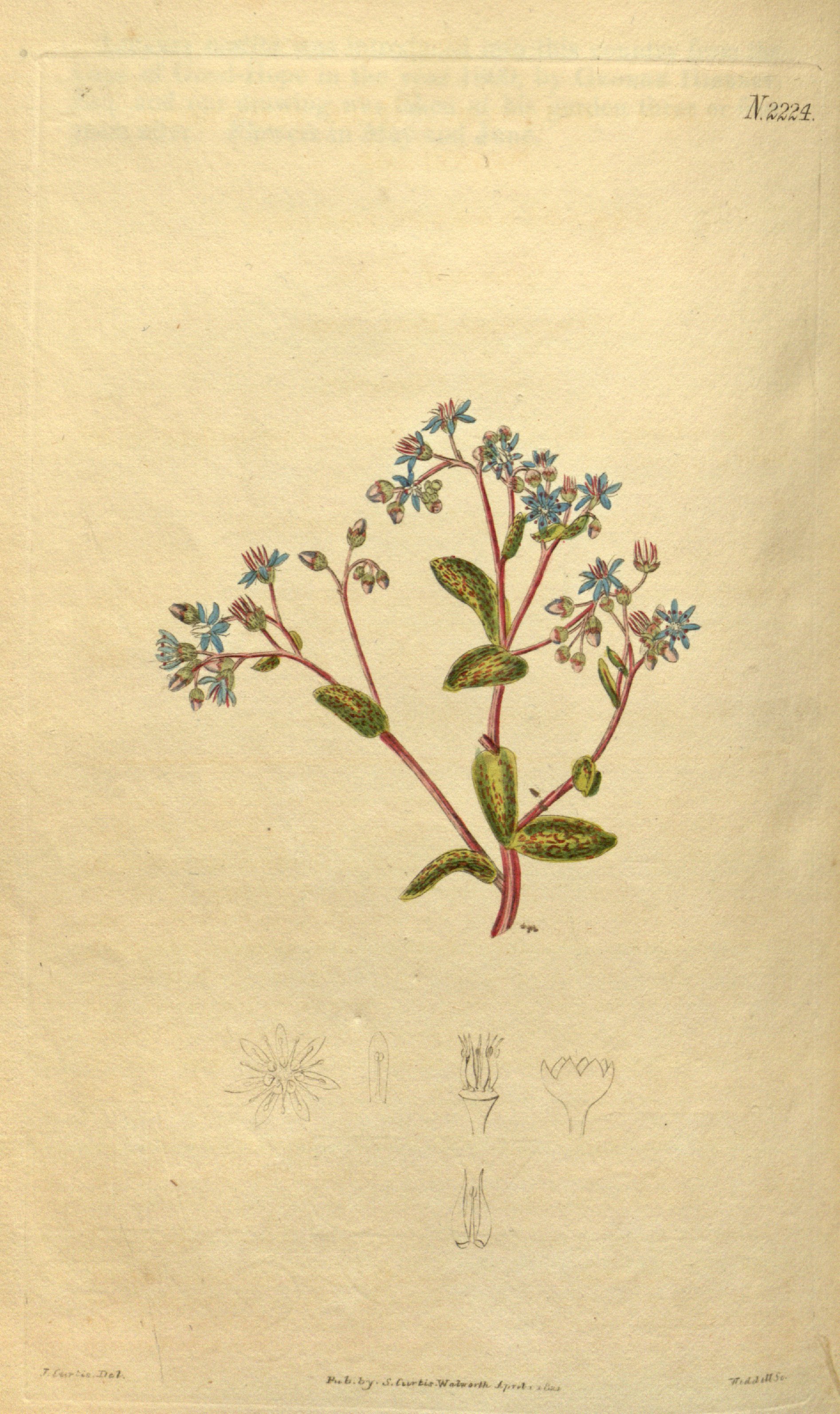 no full size  illustration available (3a)