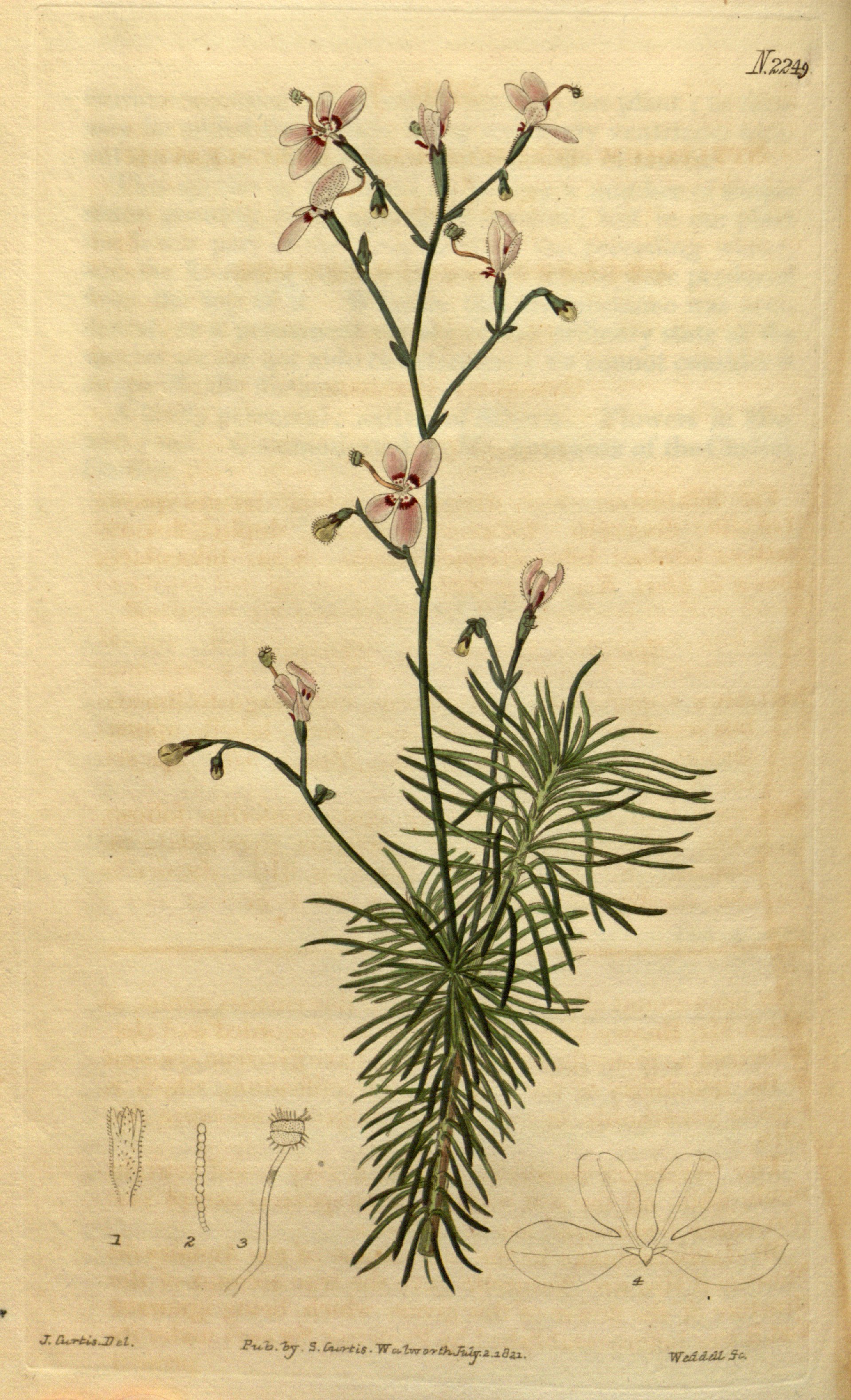 no full size  illustration available (3a)