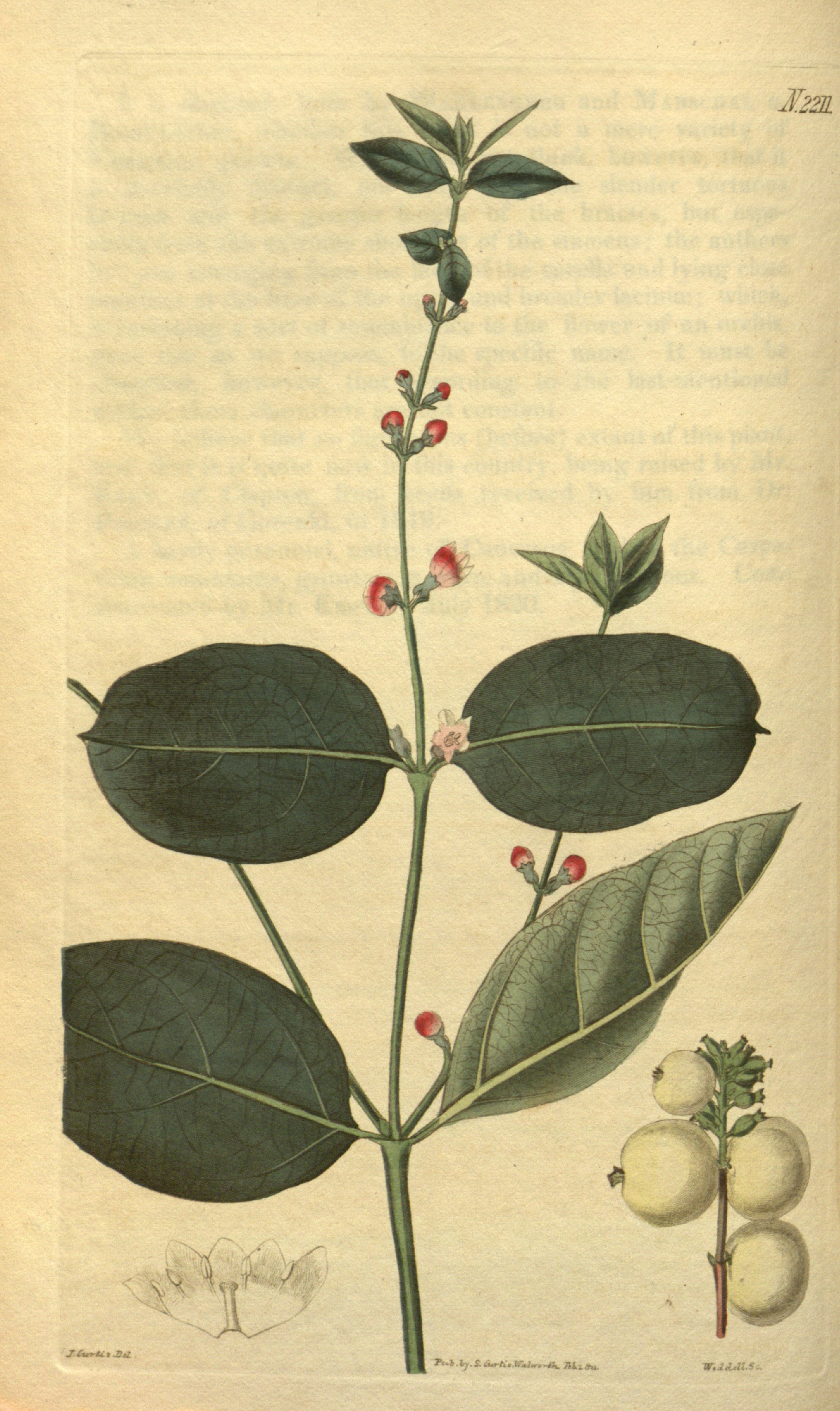 no full size  illustration available (3a)