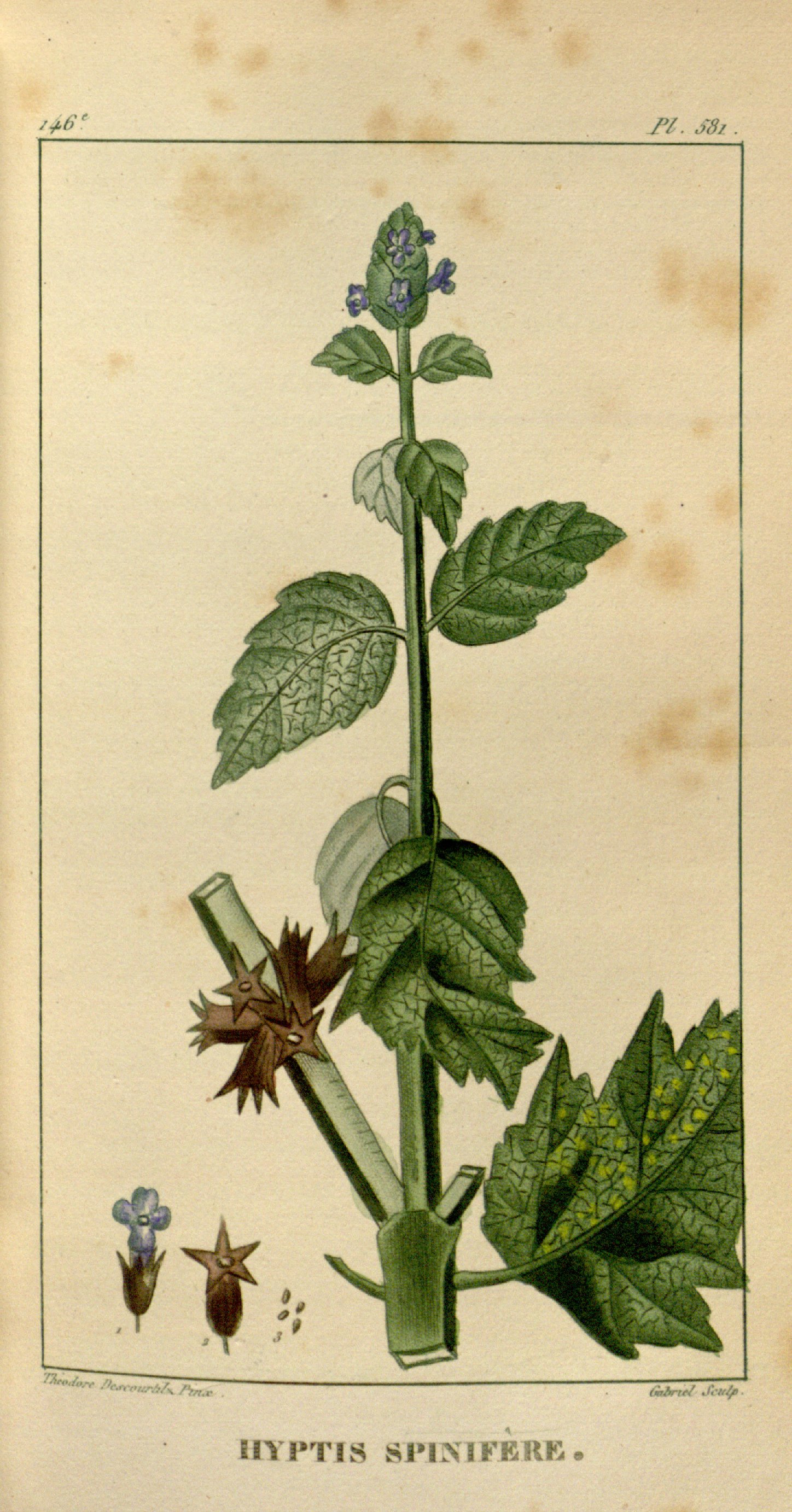 no full size  illustration available (3a)