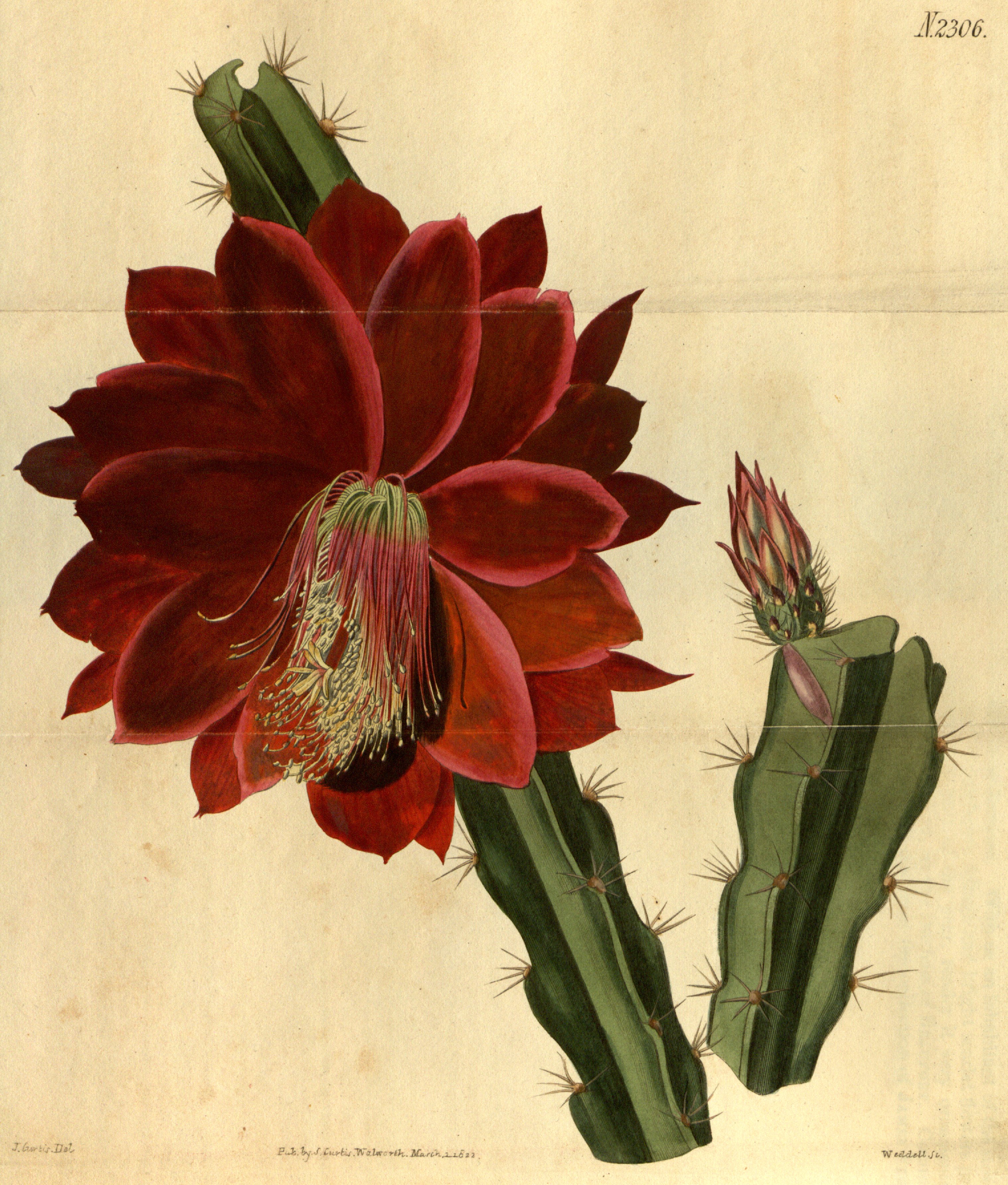 no full size  illustration available (3a)