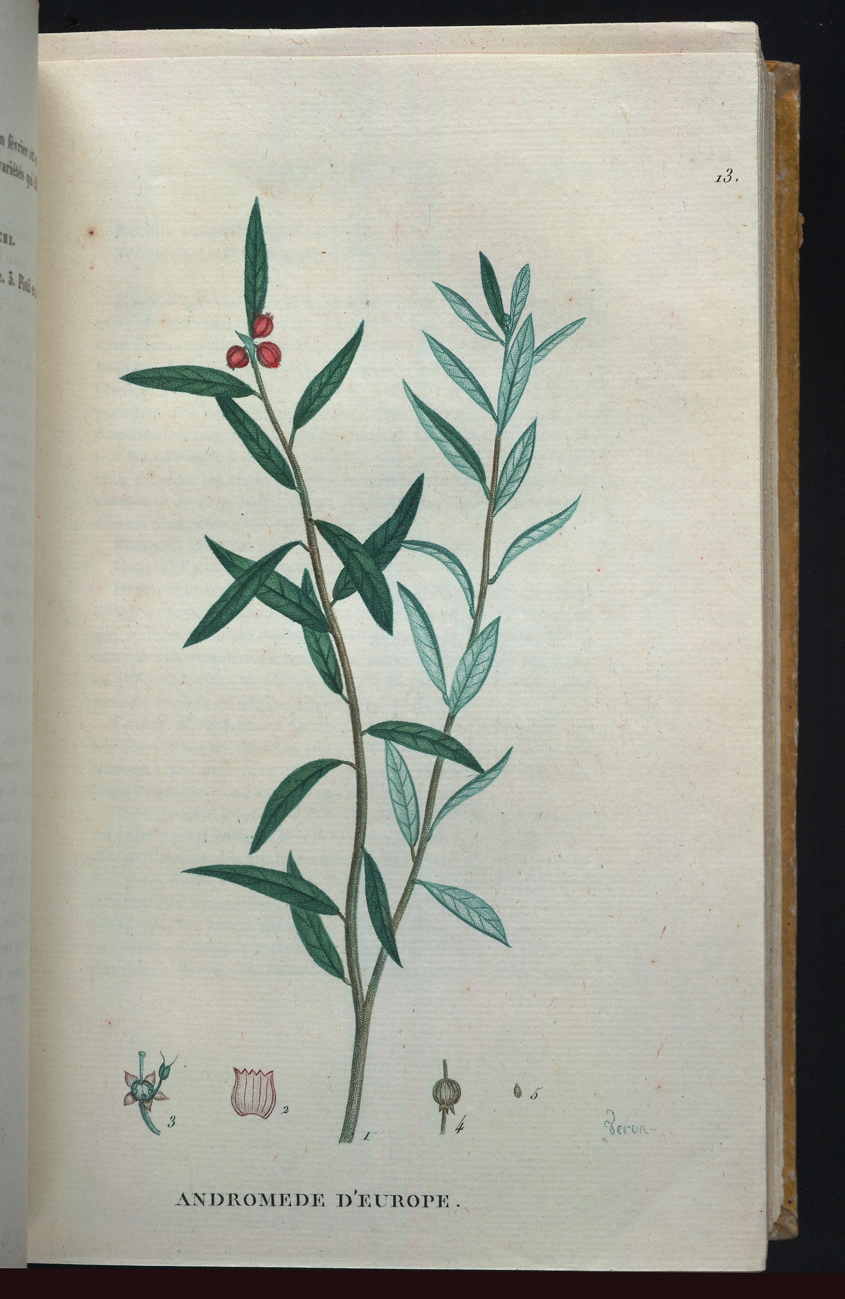 no full size  illustration available (3a)