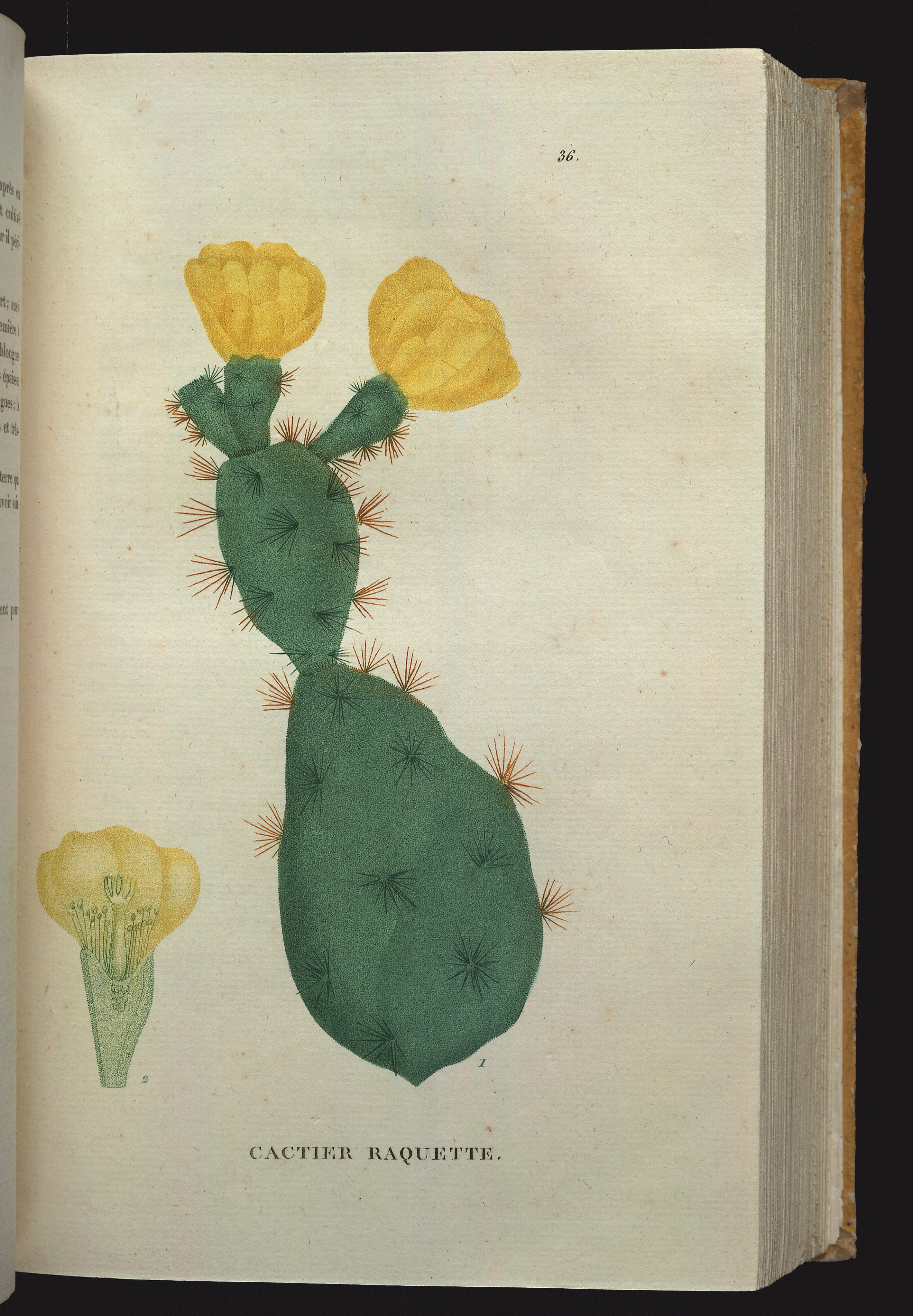 no full size  illustration available (3a)