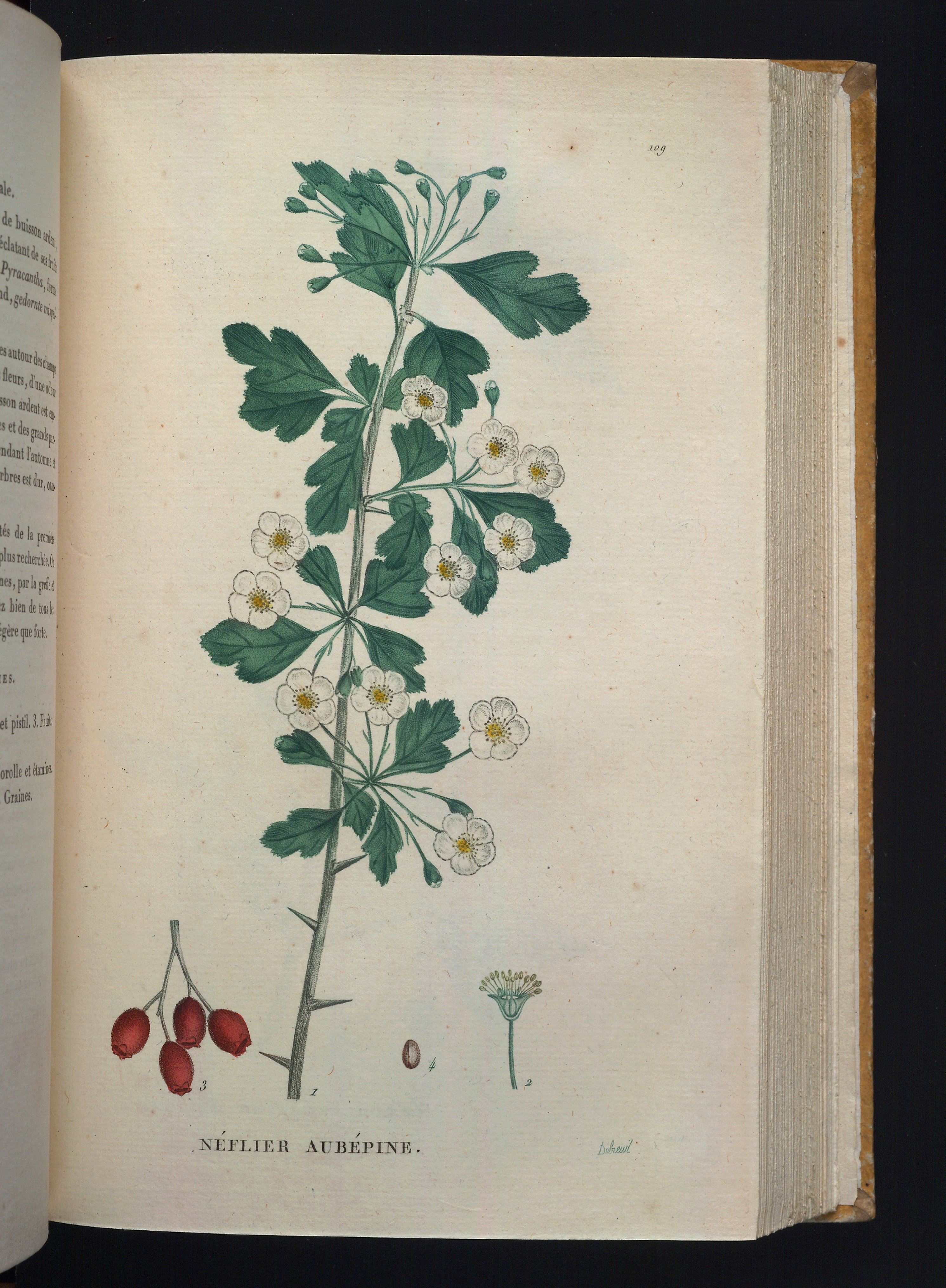 no full size  illustration available (3a)