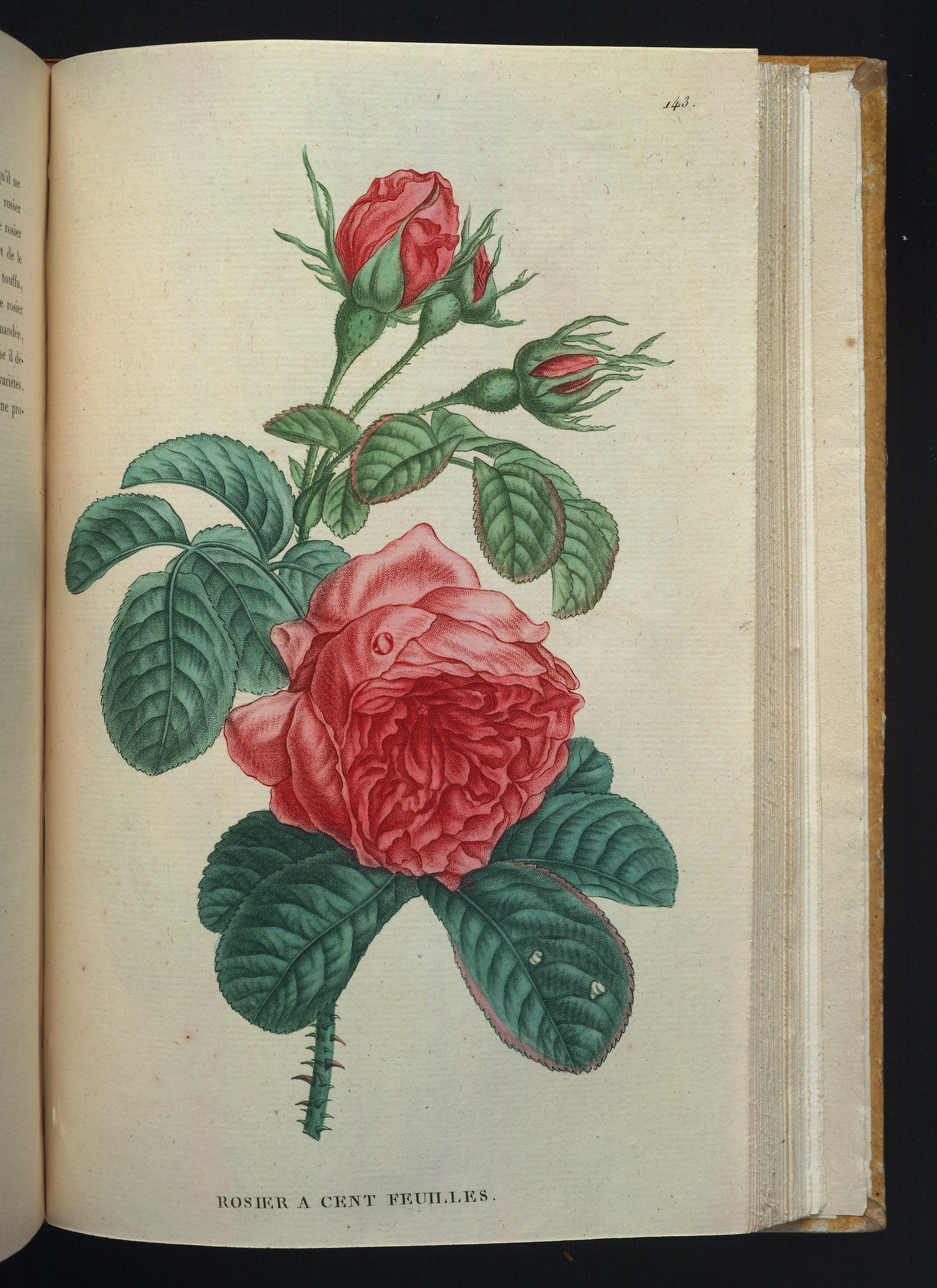 no full size  illustration available (3a)