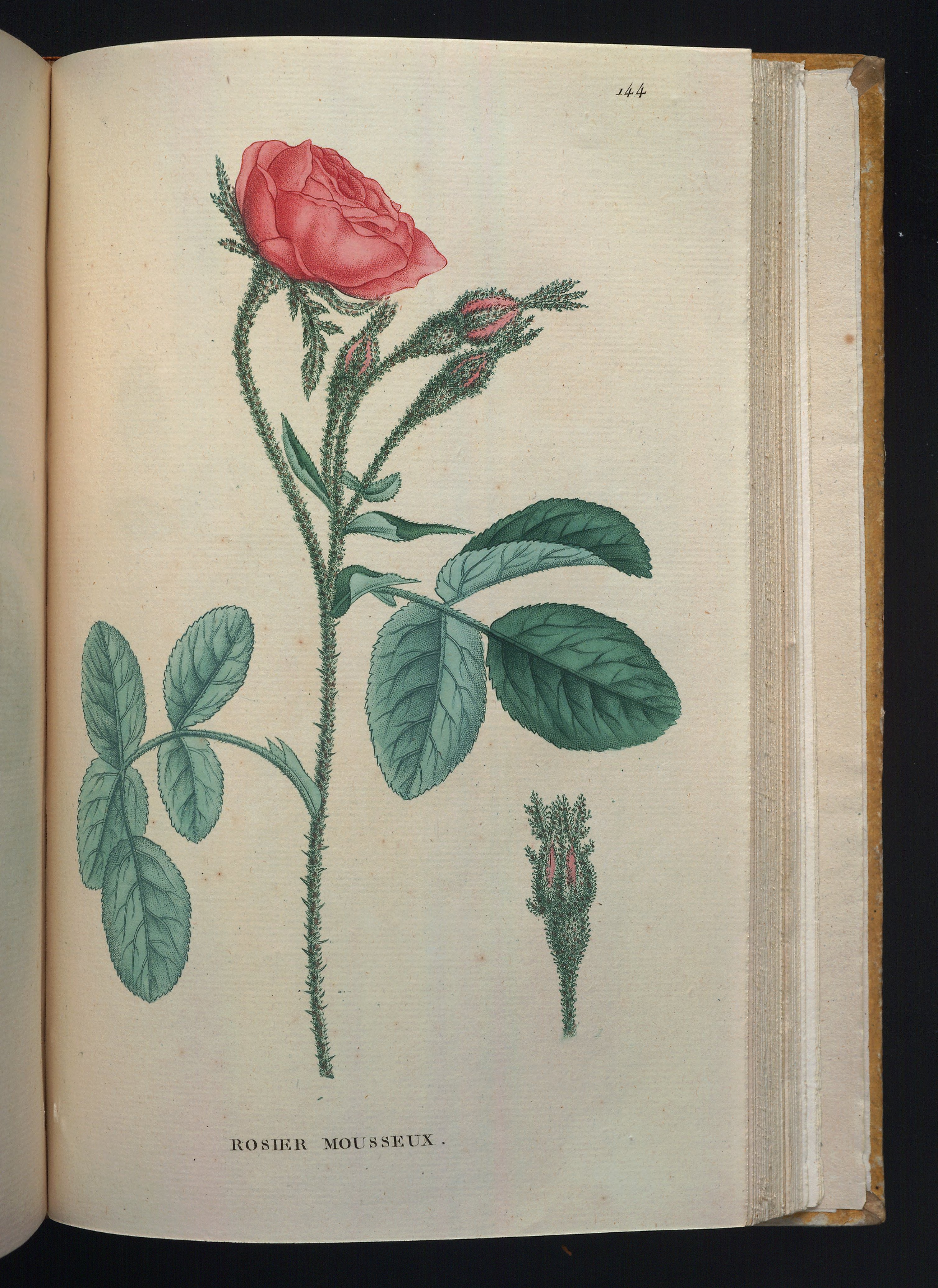 no full size  illustration available (3a)