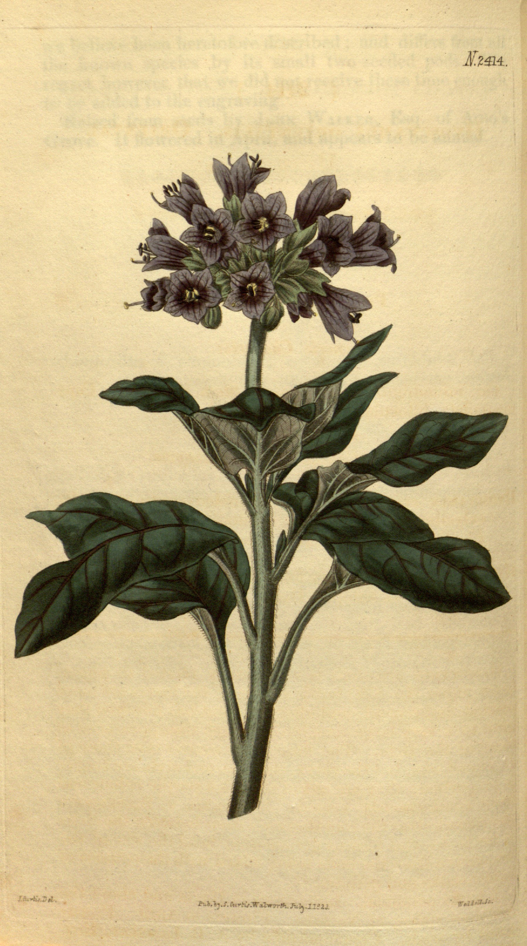 no full size  illustration available (3a)